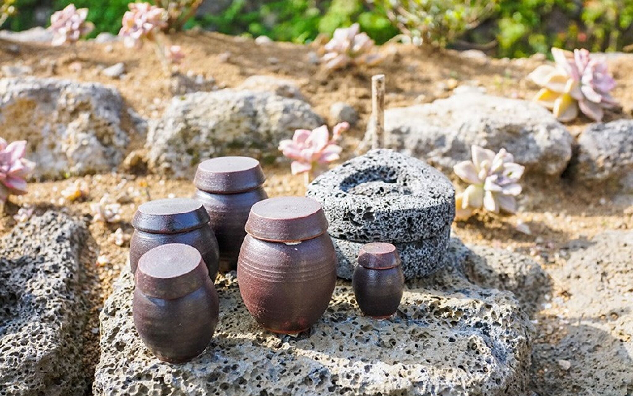 Seogwipo Haengbok Pension