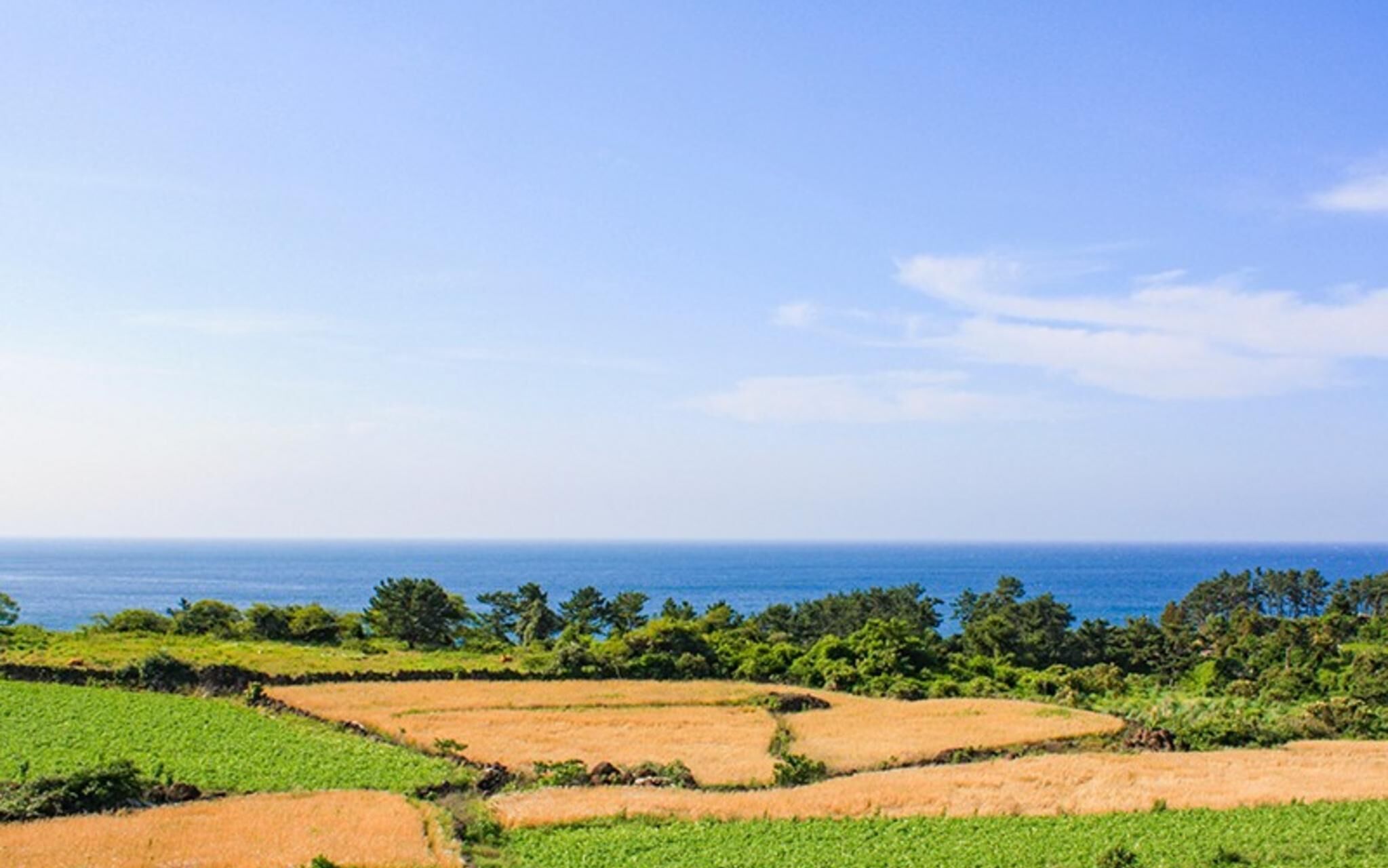 Seogwipo Hawonga Pension