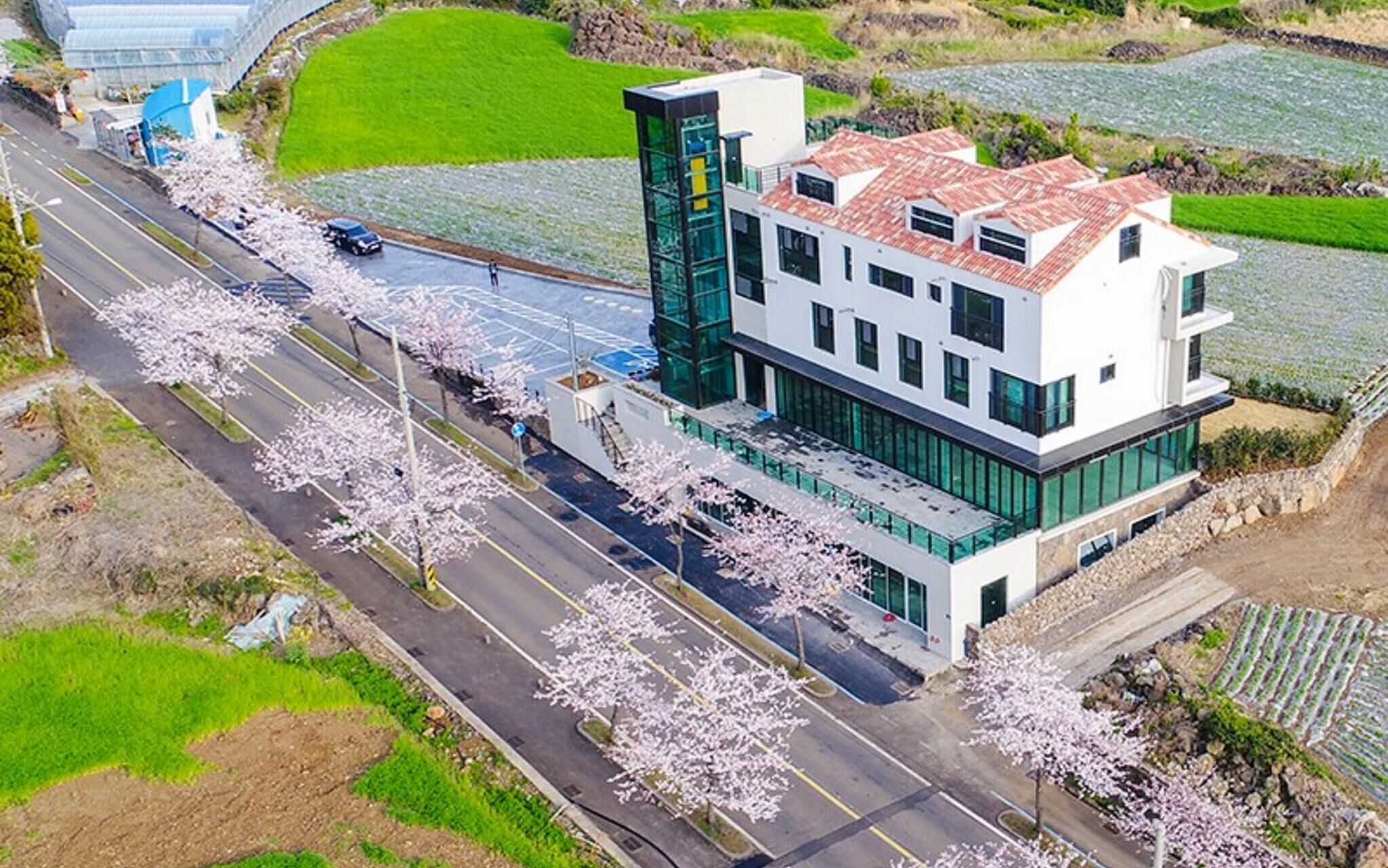 Seogwipo Hawonga Pension