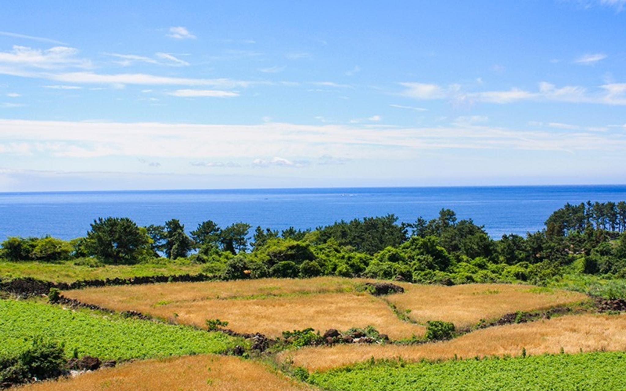 Seogwipo Hawonga Pension