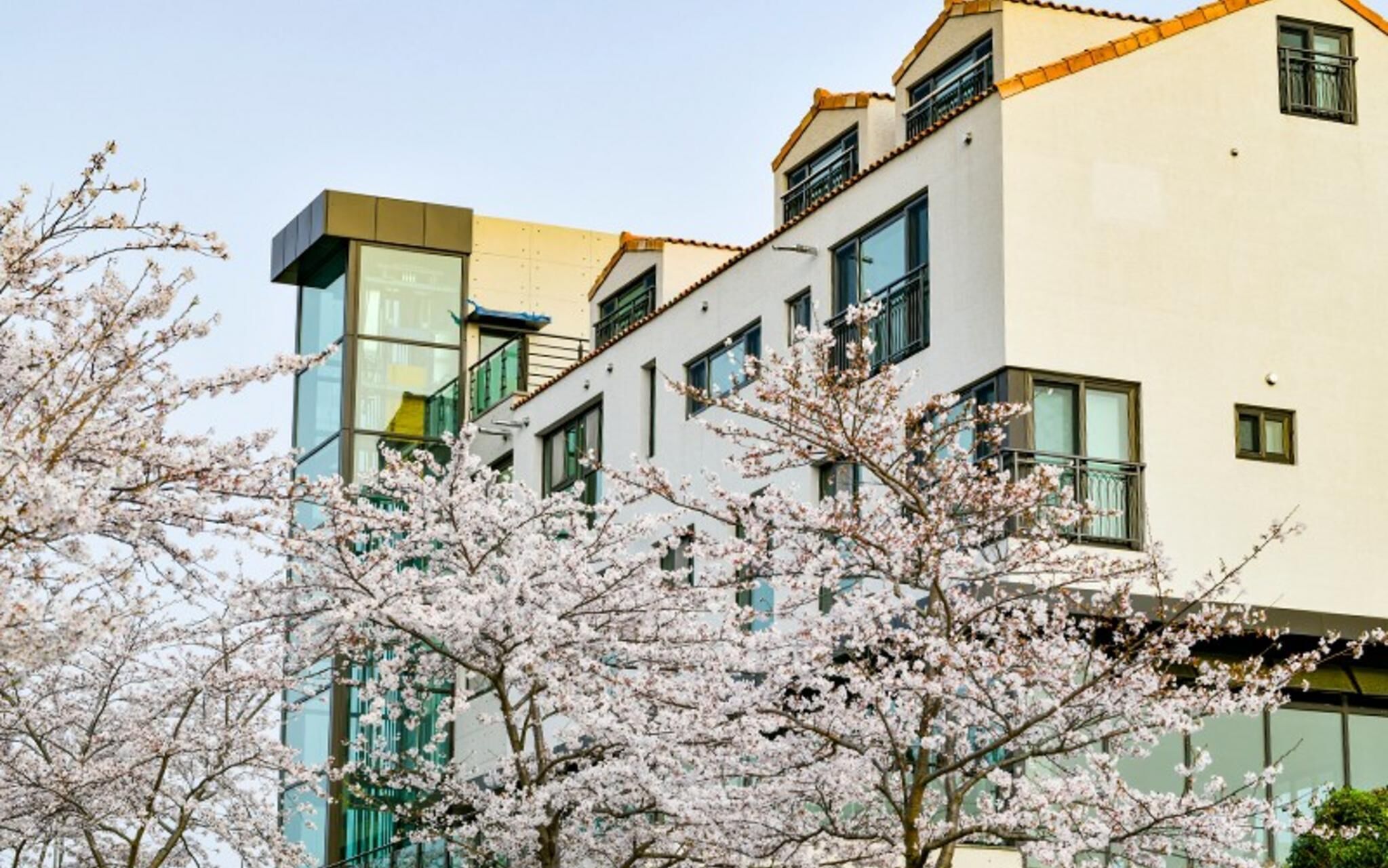 Seogwipo Hawonga Pension