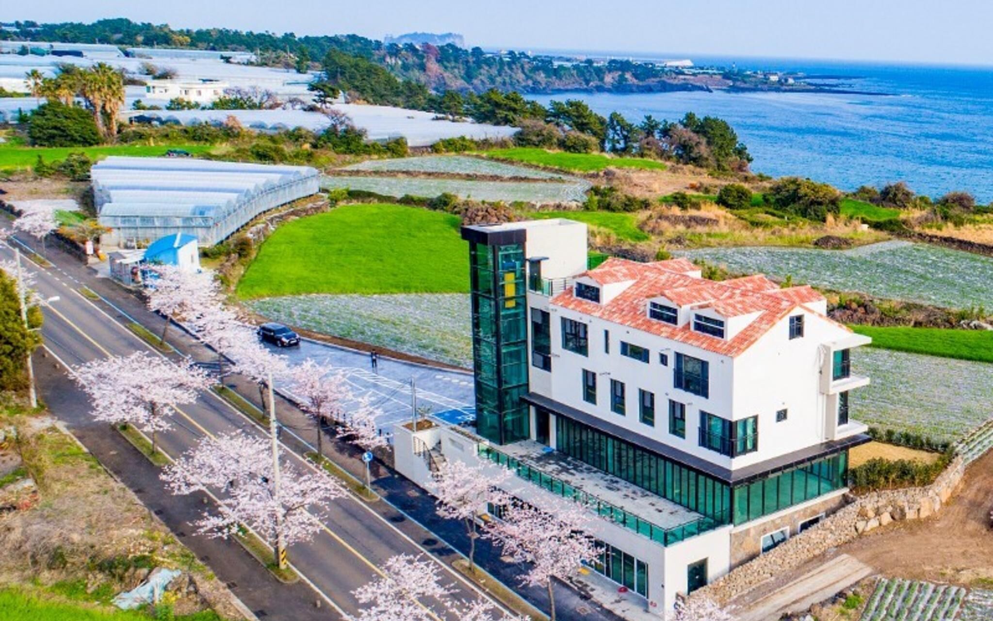 Seogwipo Hawonga Pension