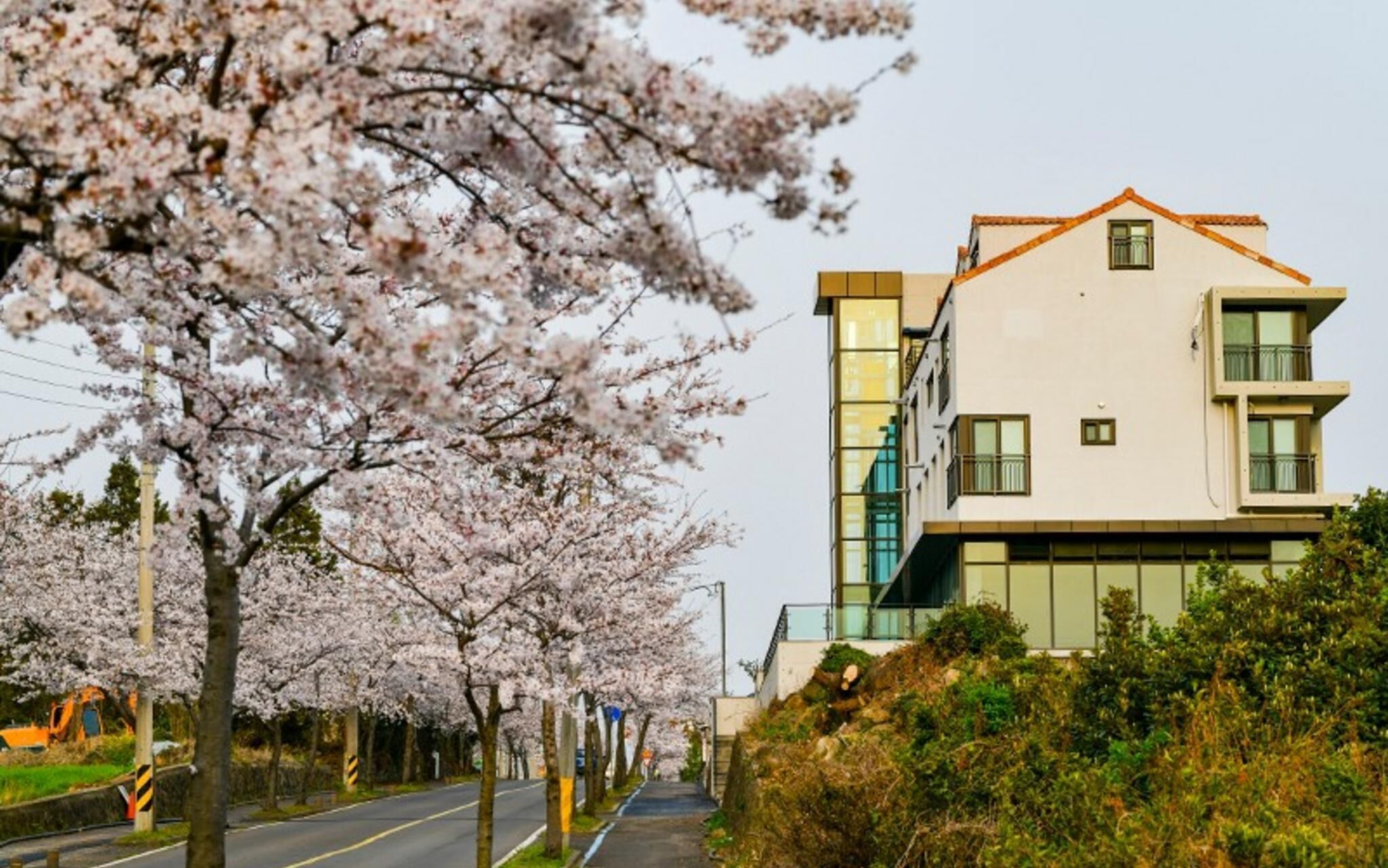 Seogwipo Hawonga Pension