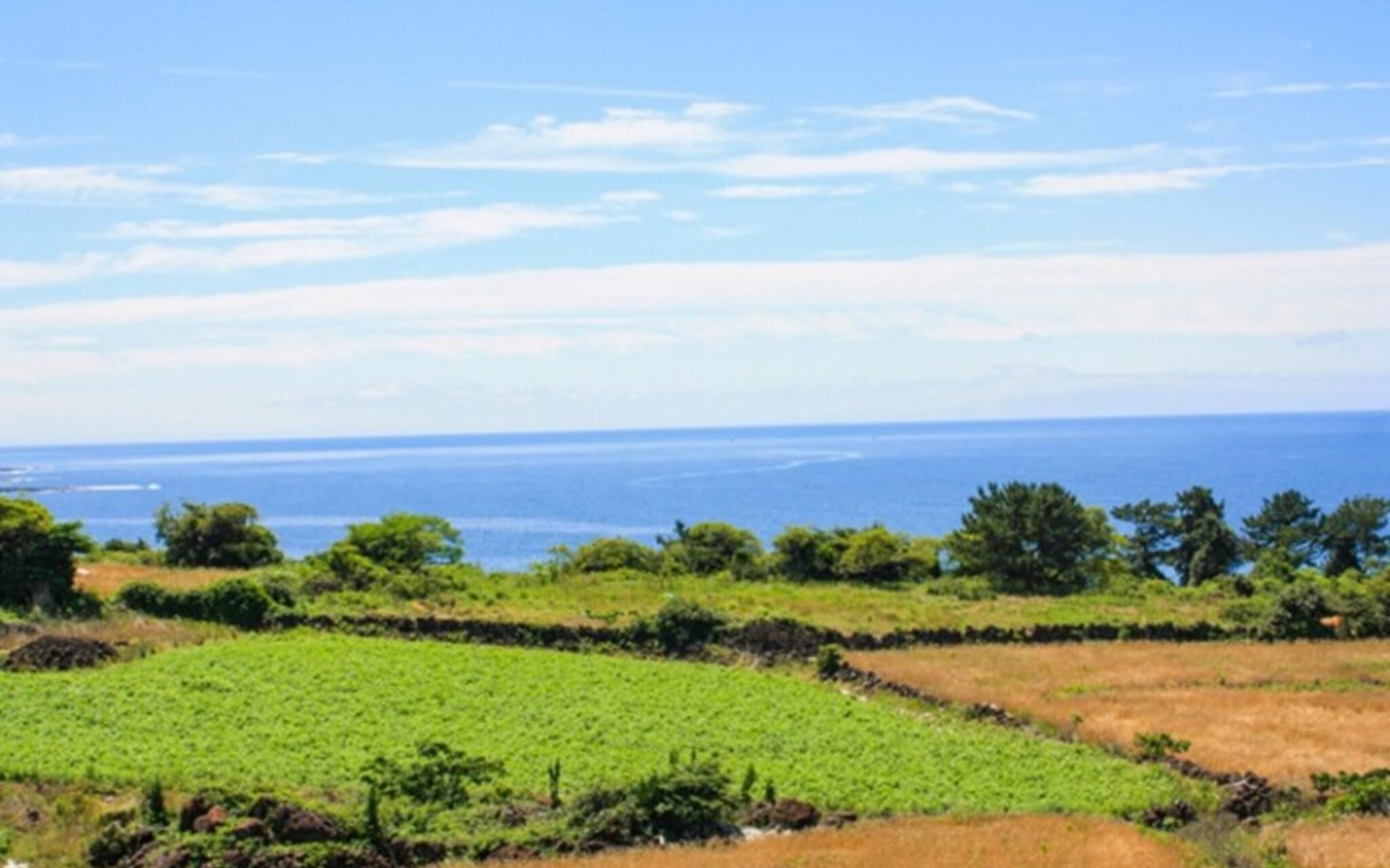Seogwipo Hawonga Pension