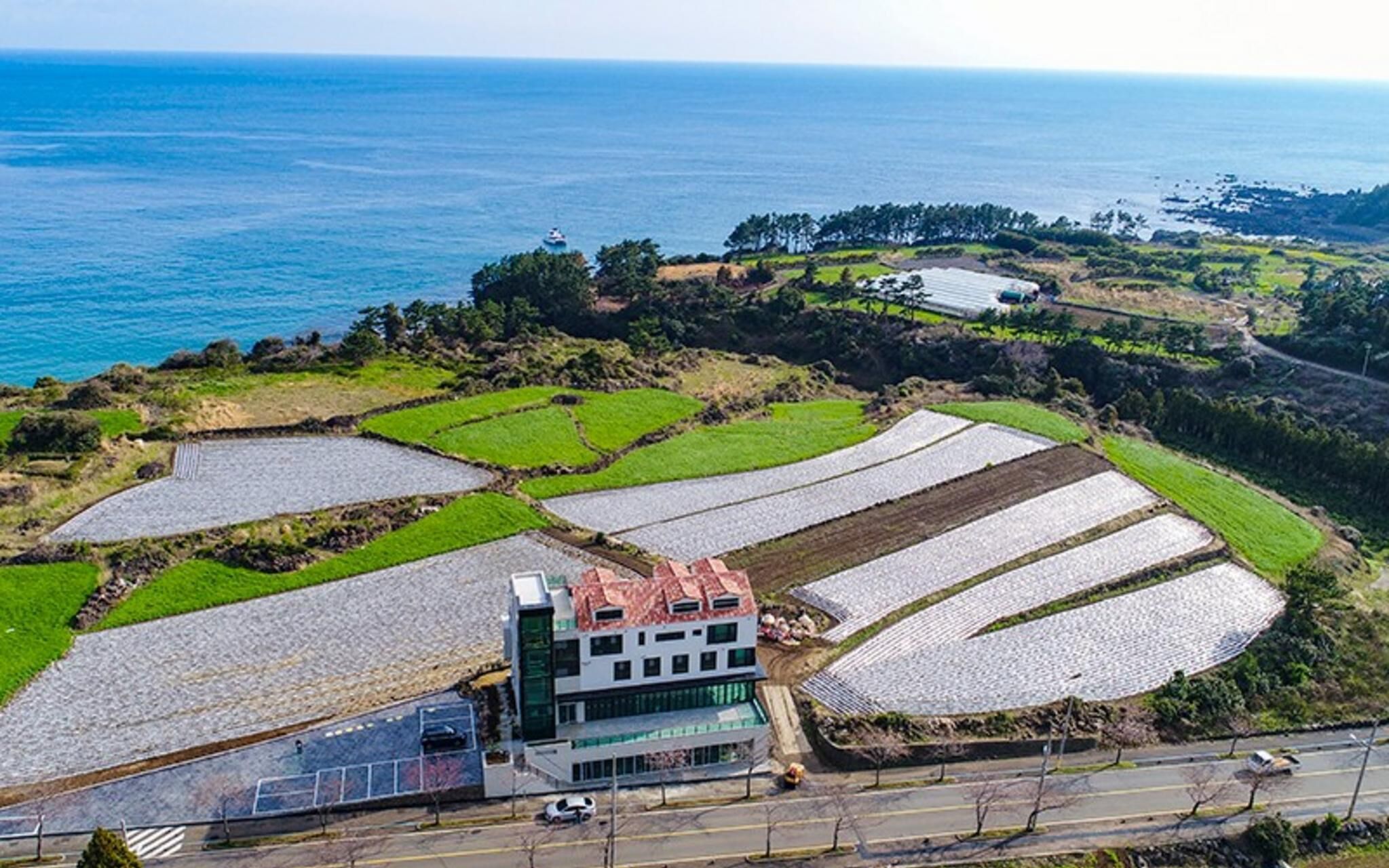 Seogwipo Hawonga Pension