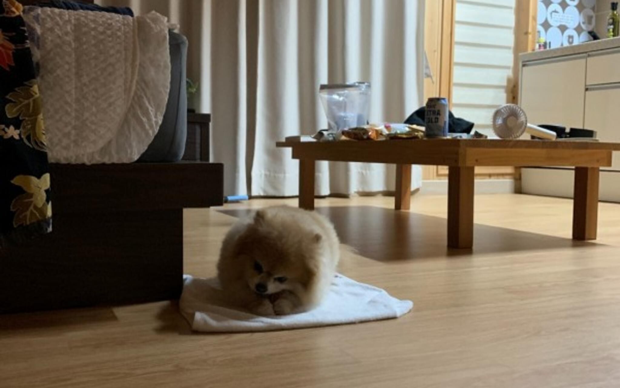 Seogwipo Ilhae Pension