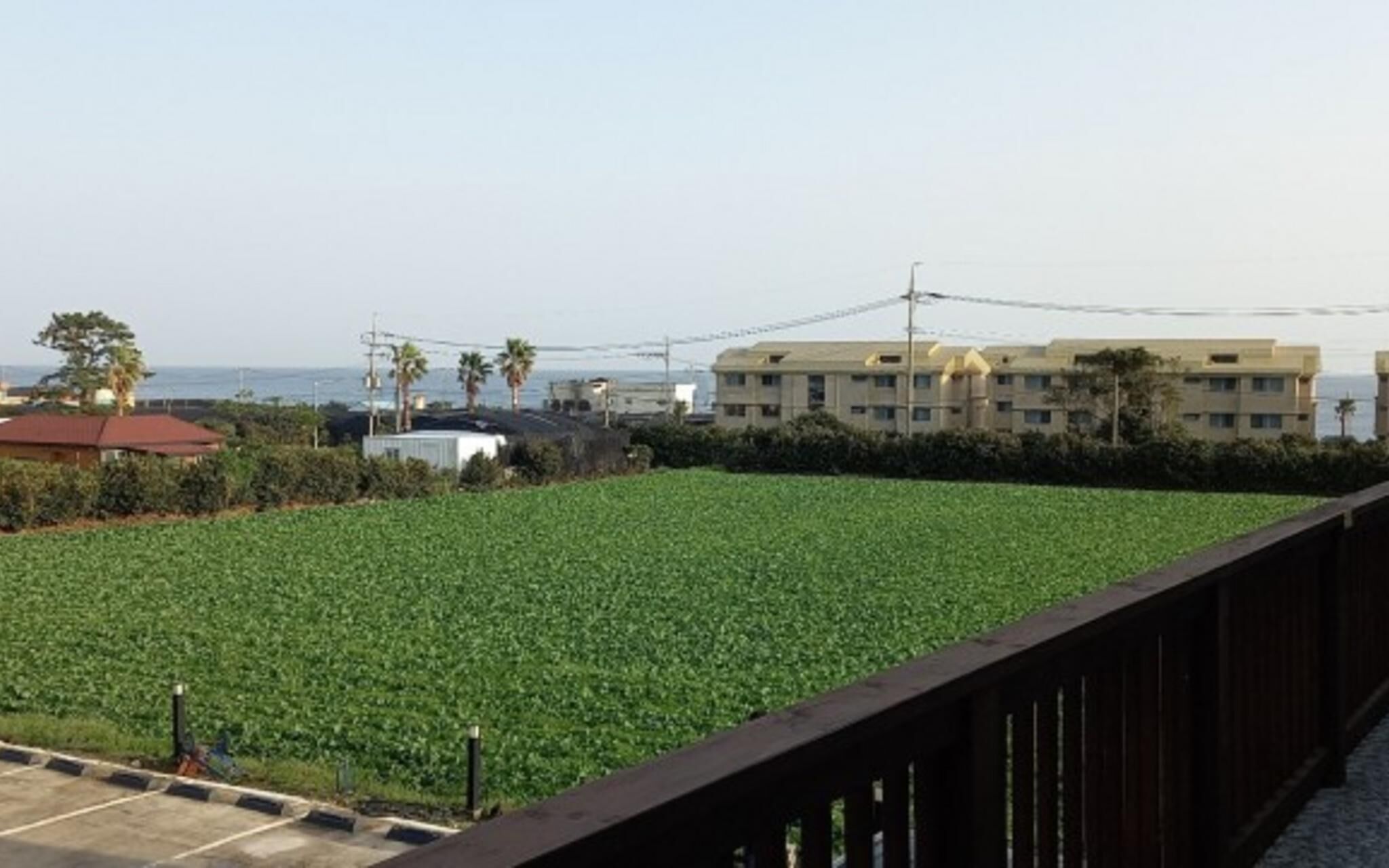 Seogwipo Ilhae Pension