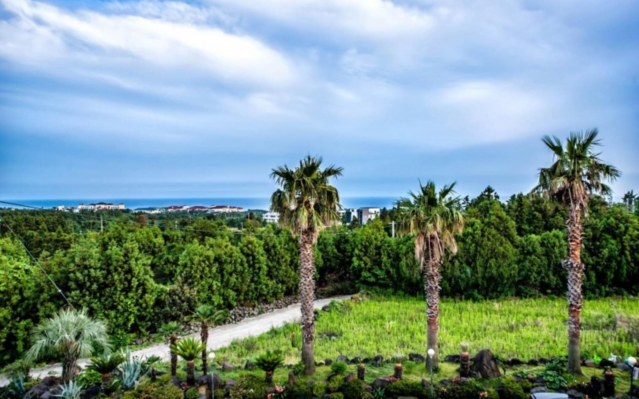 Seogwipo Jungmun Happy Sketch Pension
