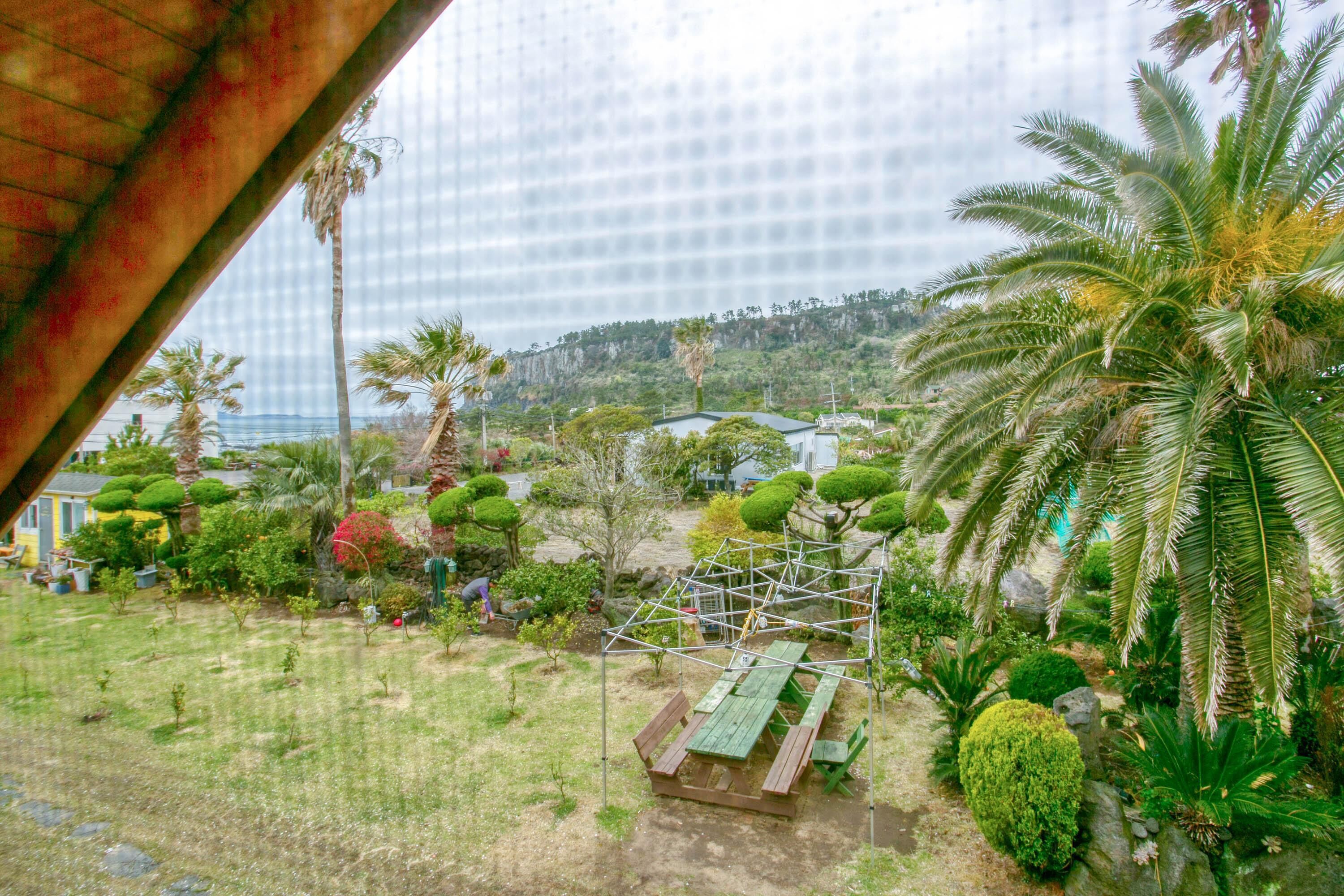 Seogwipo Neulbada Pet Pension