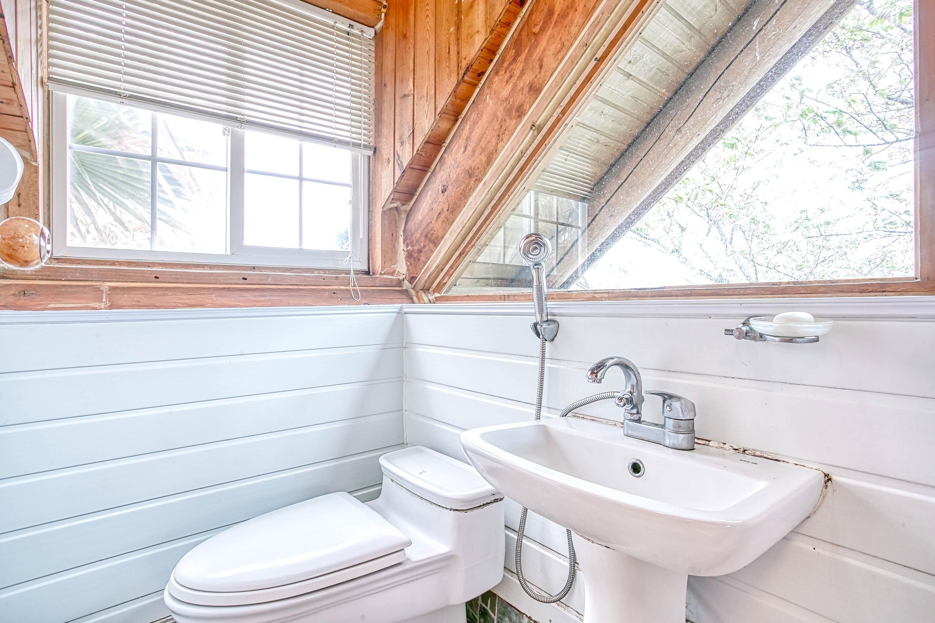 Seogwipo Neulbada Pet Pension