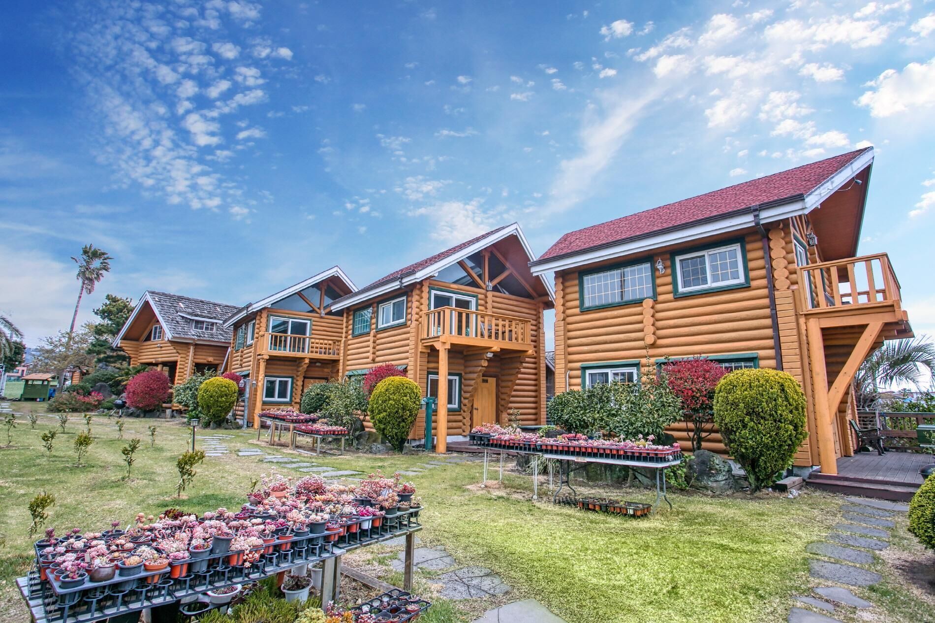 Seogwipo Neulbada Pet Pension