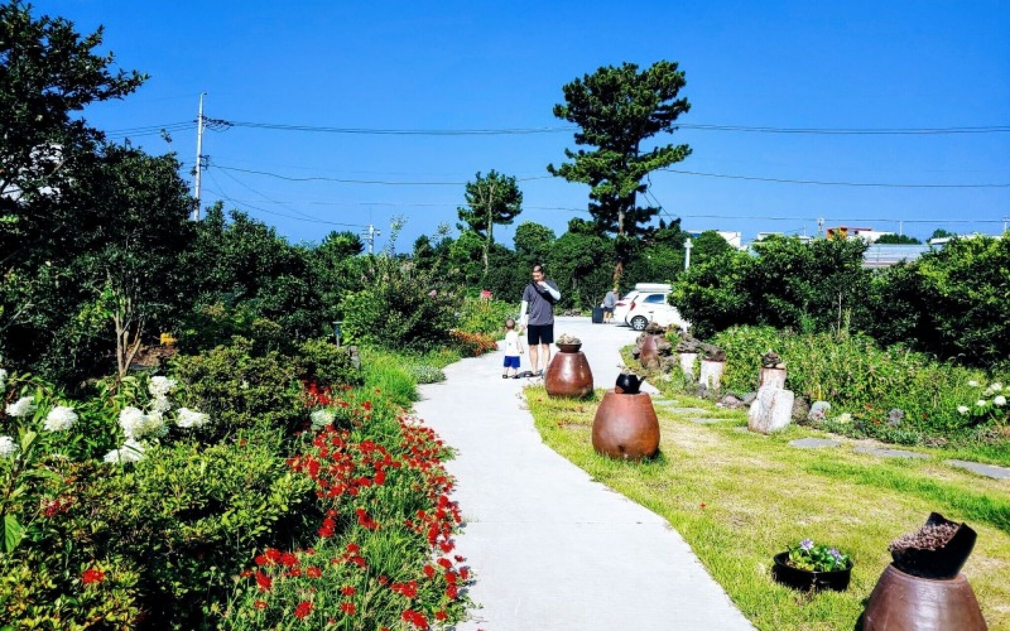 Seogwipo Soesokkak Cheonil Pension