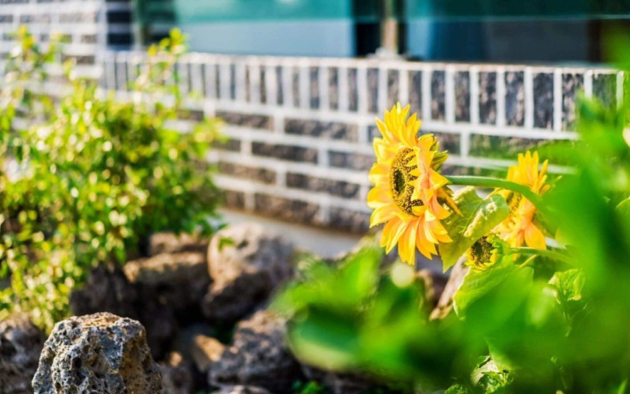 Seogwipo Soesokkak Cheonil Pension