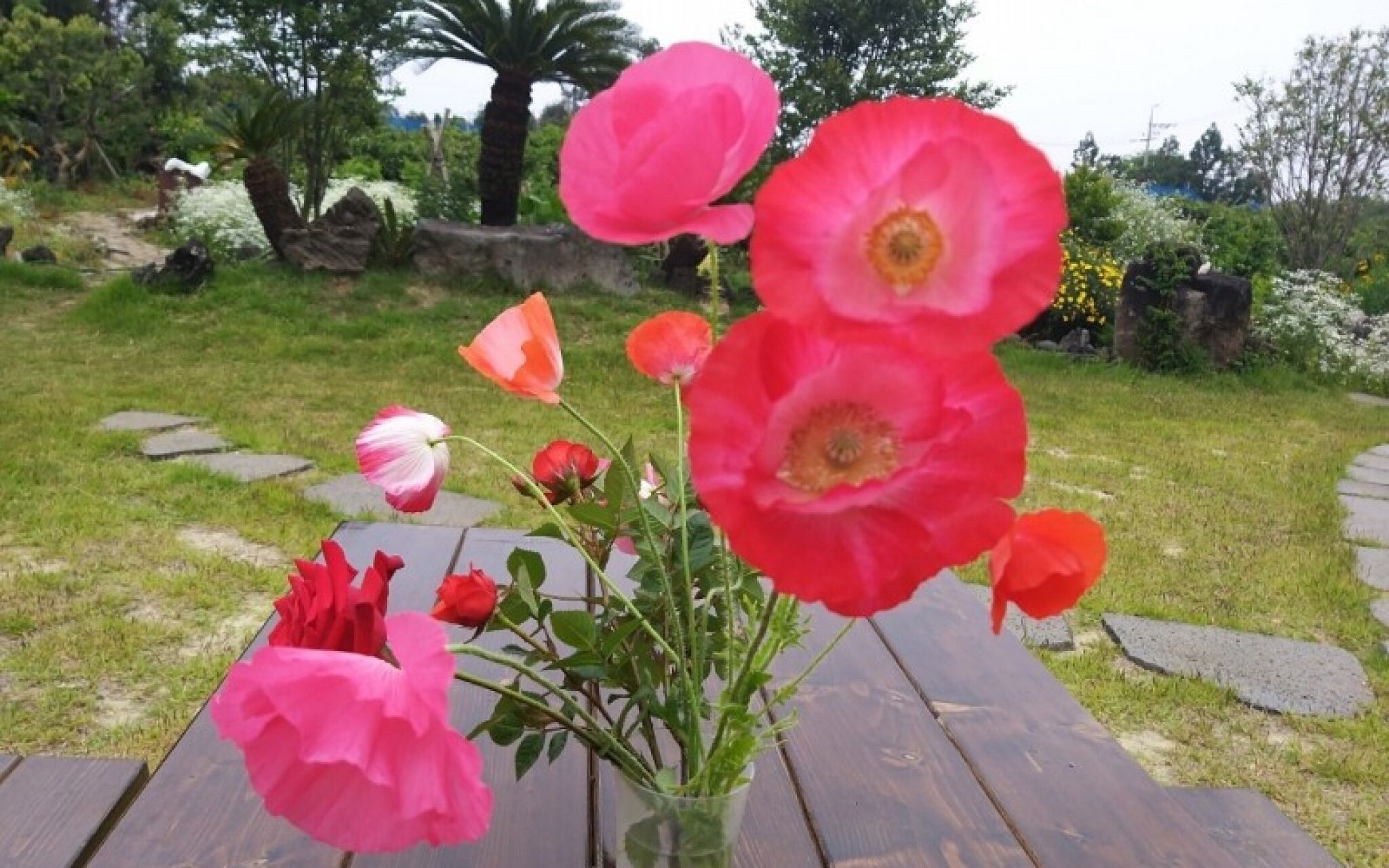 Seogwipo Soesokkak Cheonil Pension