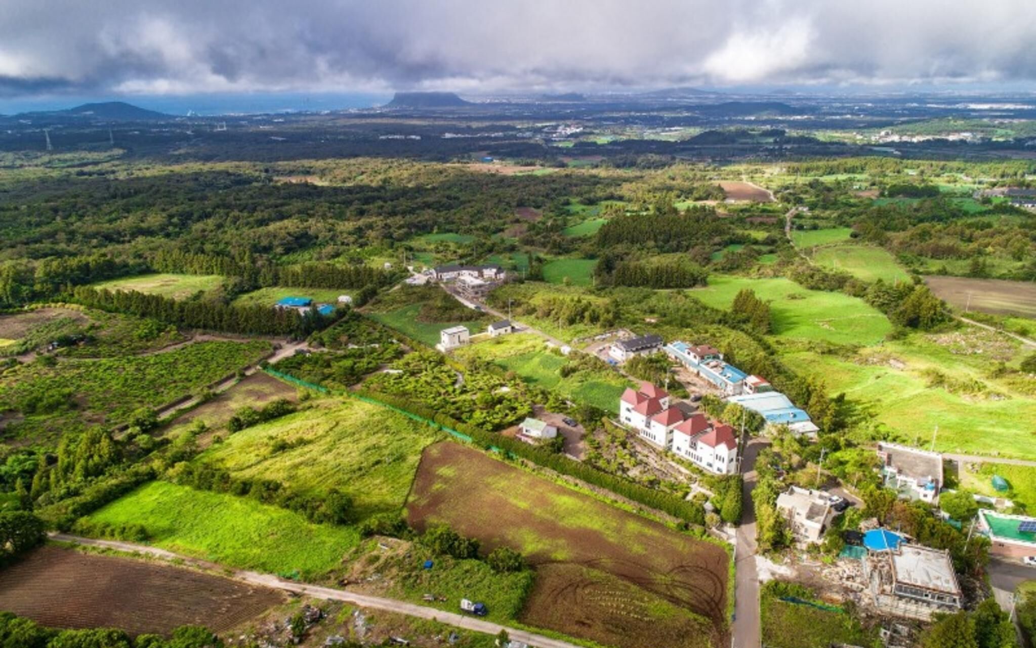 Seogwipo Tamradoda Pension