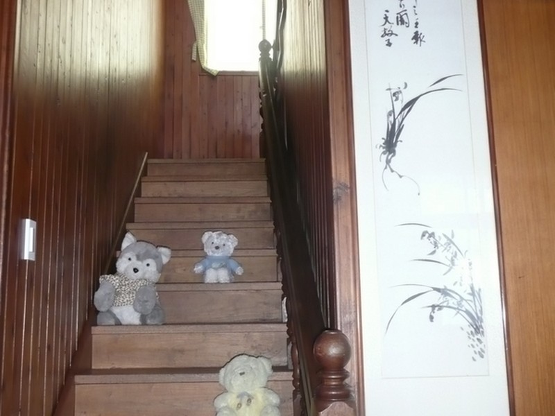 Springflower Guesthouse