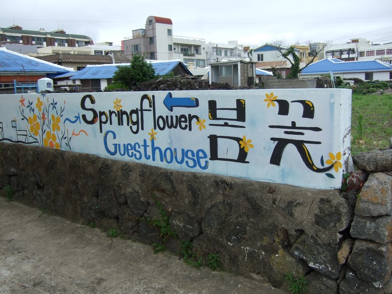 Springflower Guesthouse