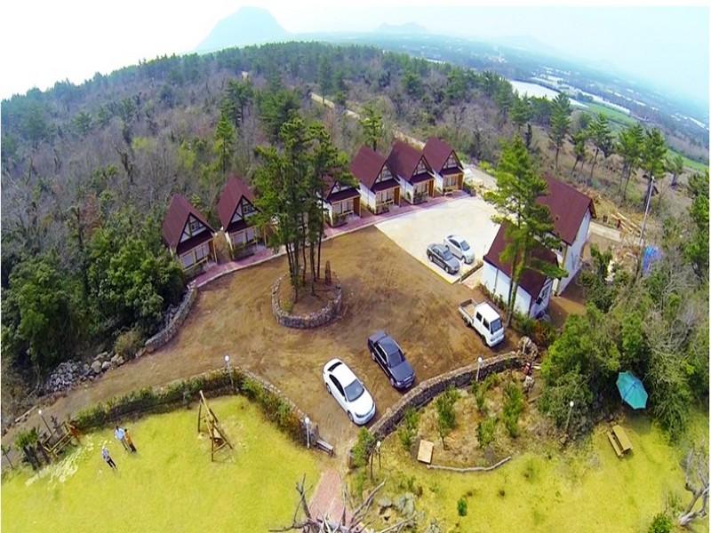 Tree House