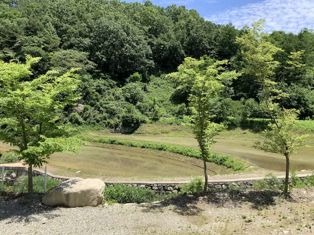 Pocheon Stream Pension