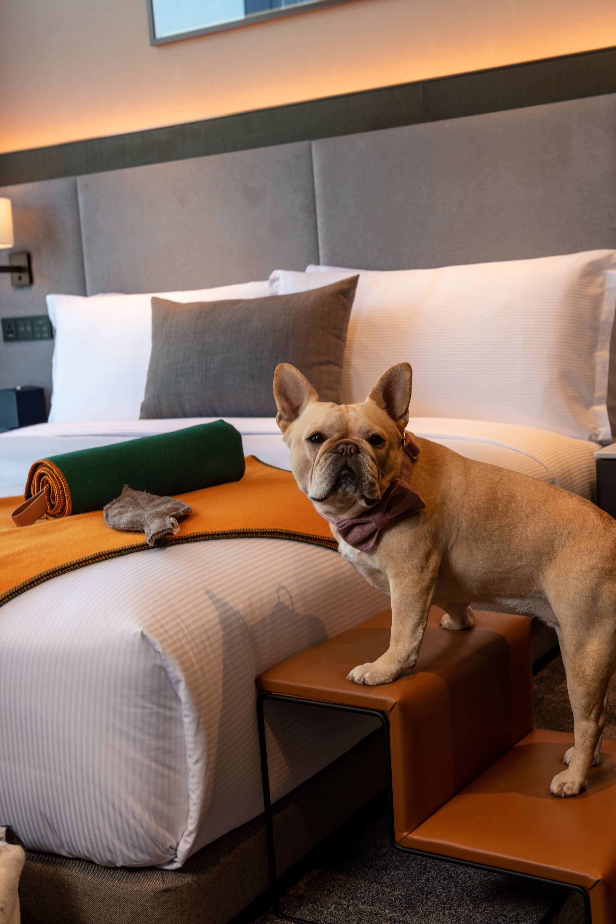 DoubleTree by Hilton Seoul Pangyo