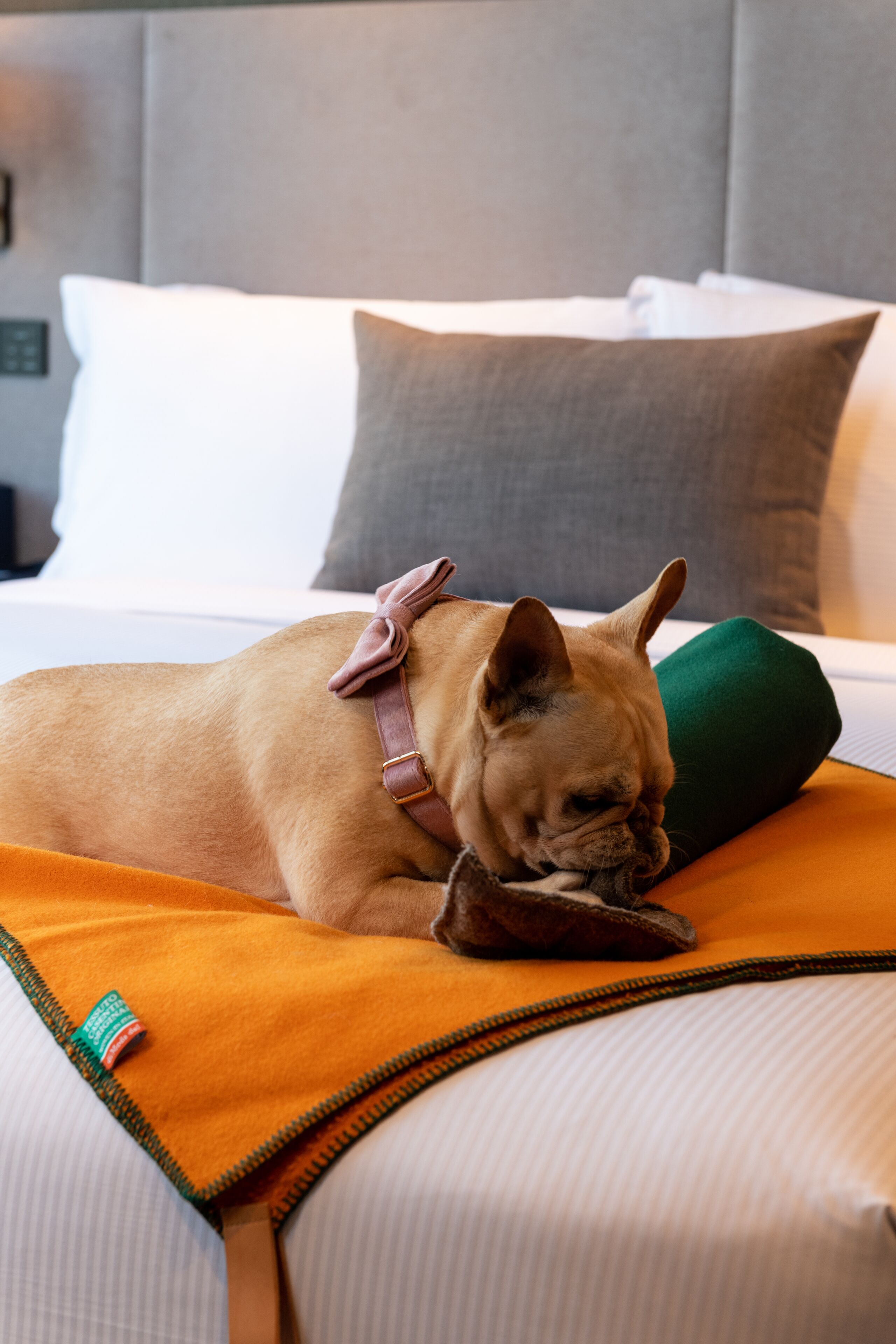 DoubleTree by Hilton Seoul Pangyo