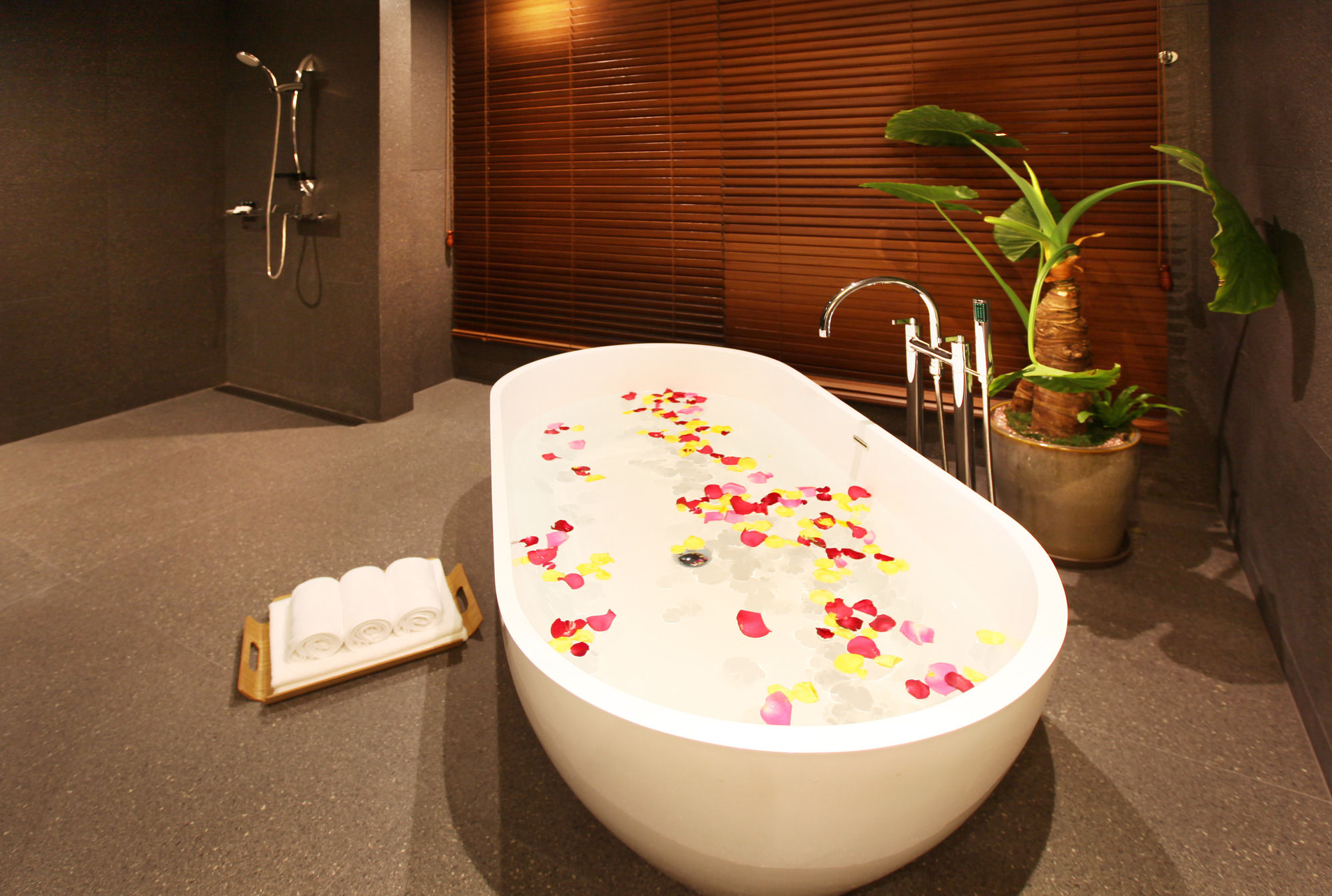 Vine Hotel