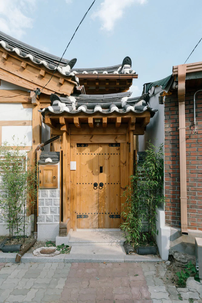 Adam Hanok