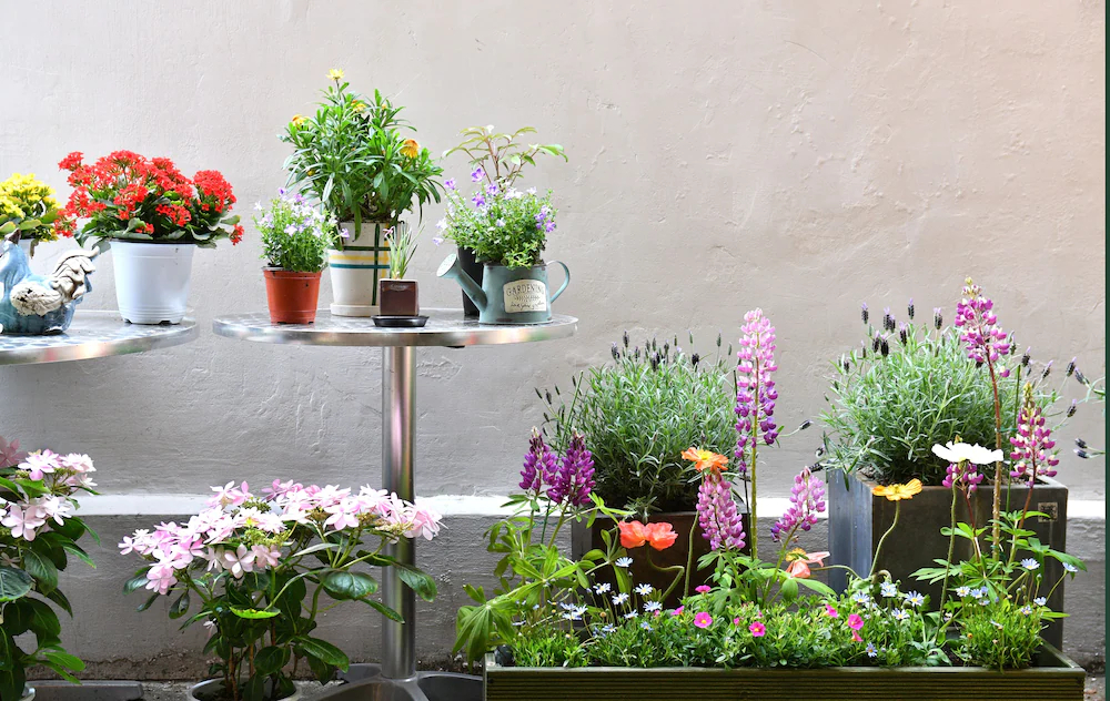 The Blossom Yeonnam Guesthouse