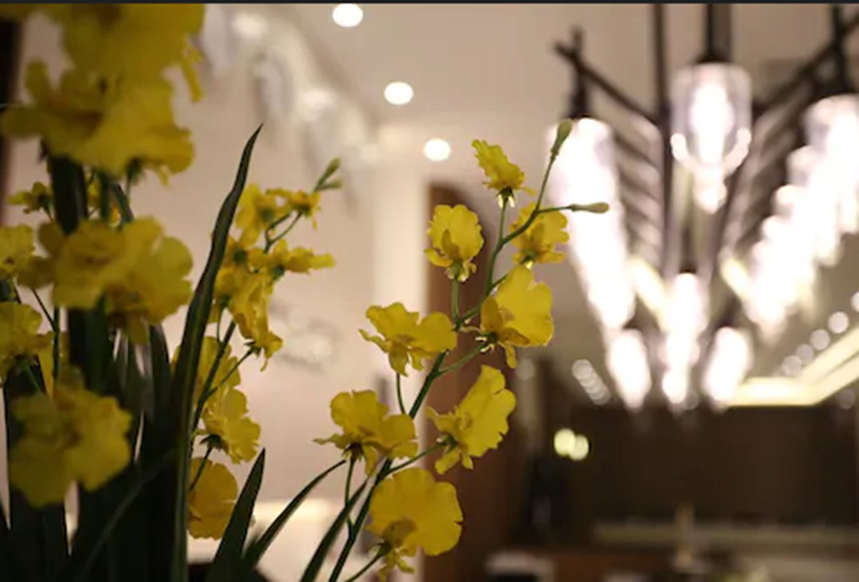 Hotel Bernoui Seoul