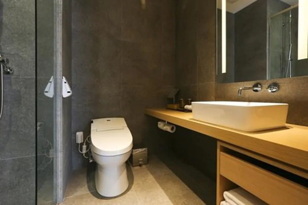 Borjomi Boutique Seoul Hotel