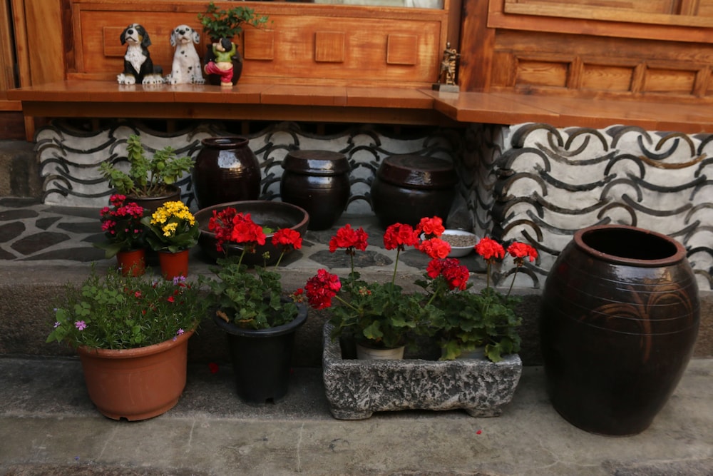 Dajayon Guest House