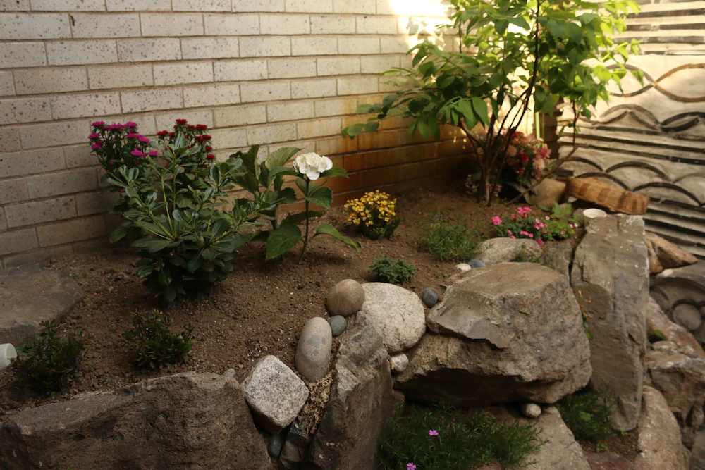 Dajayon Guest House