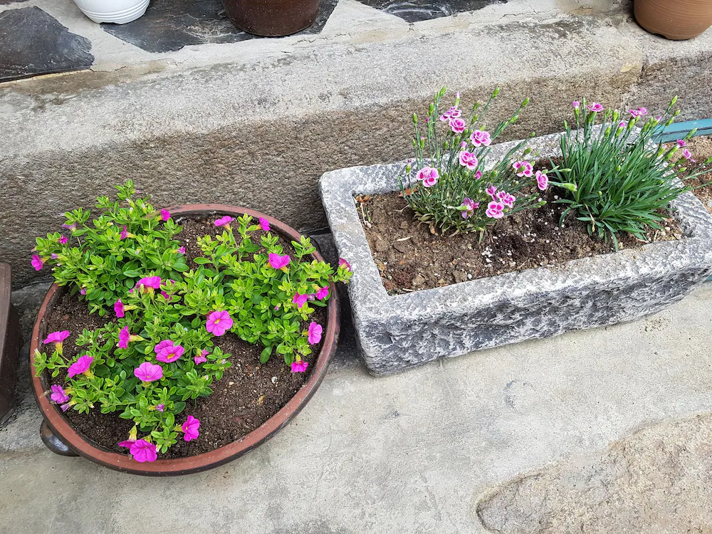 Dajayon Guest House