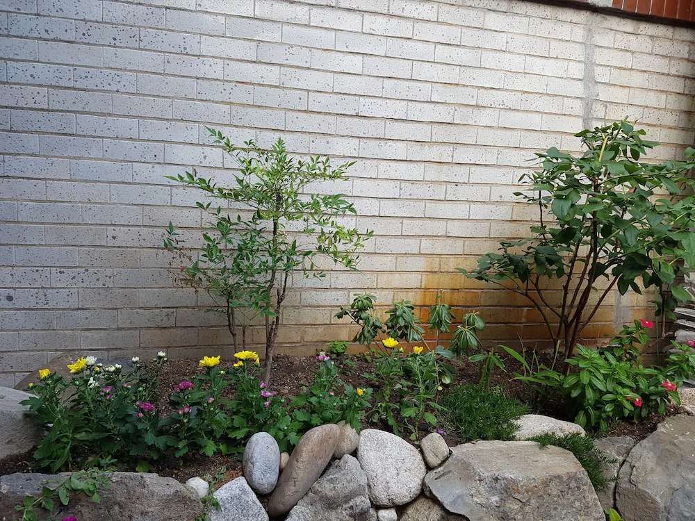 Dajayon Guest House