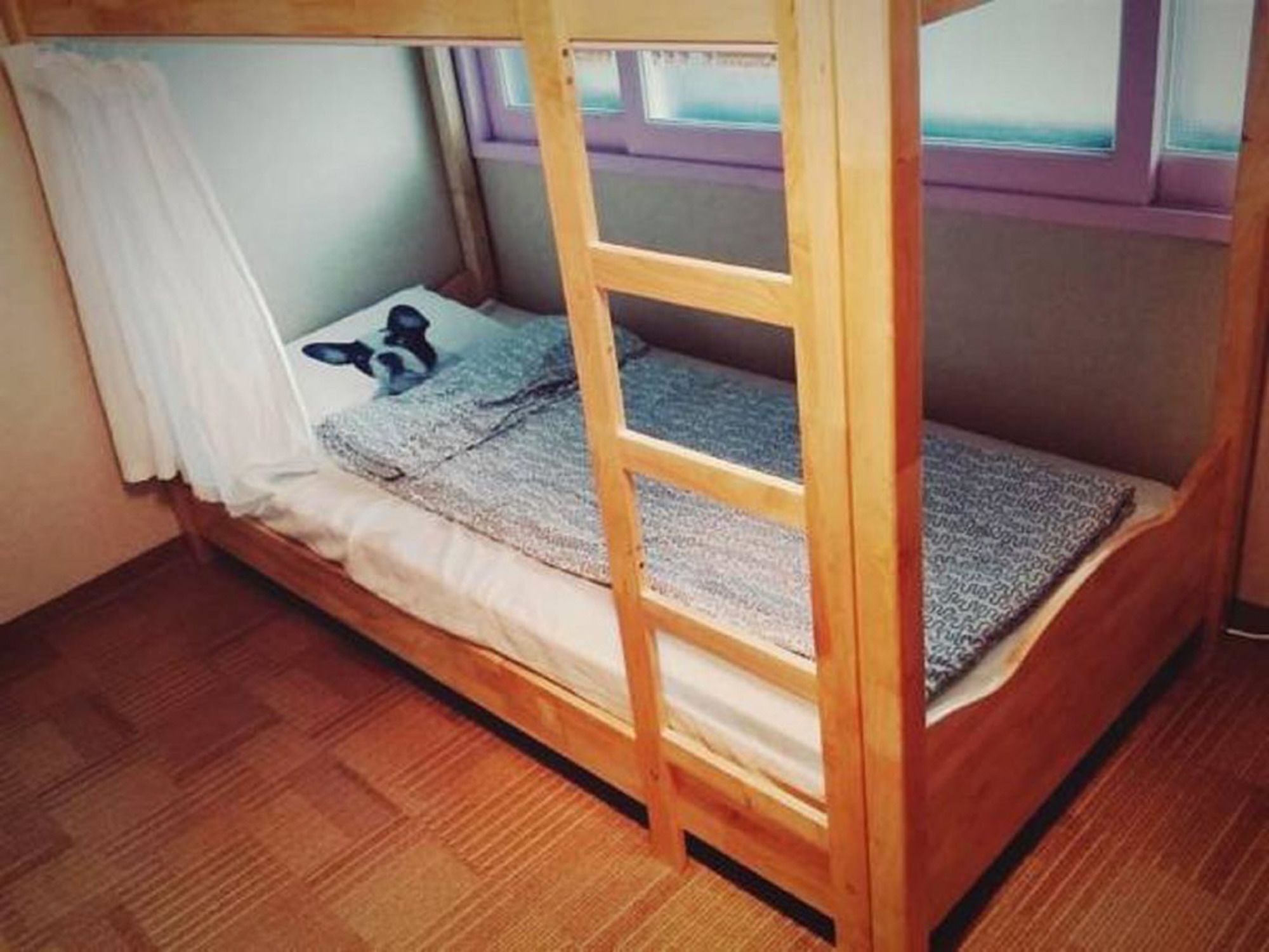 Dustin Guesthouse Hostel