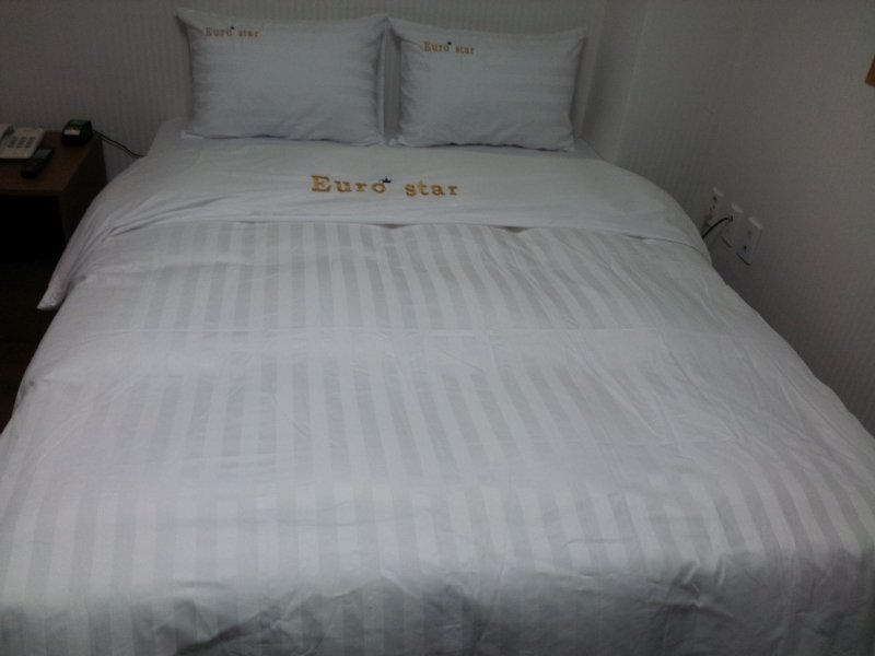 Euro Star Hotel