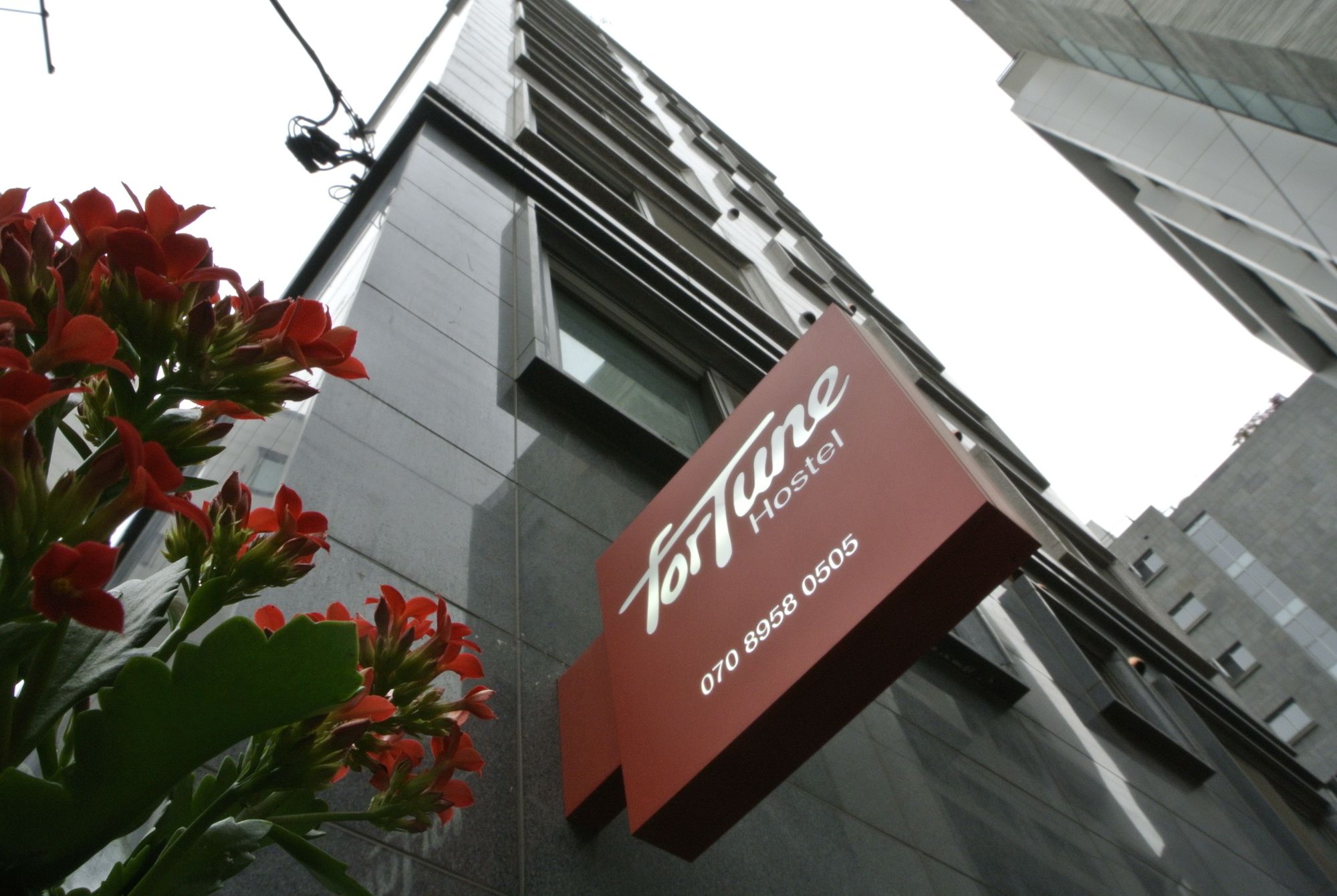 Fortune Hostel Jongno