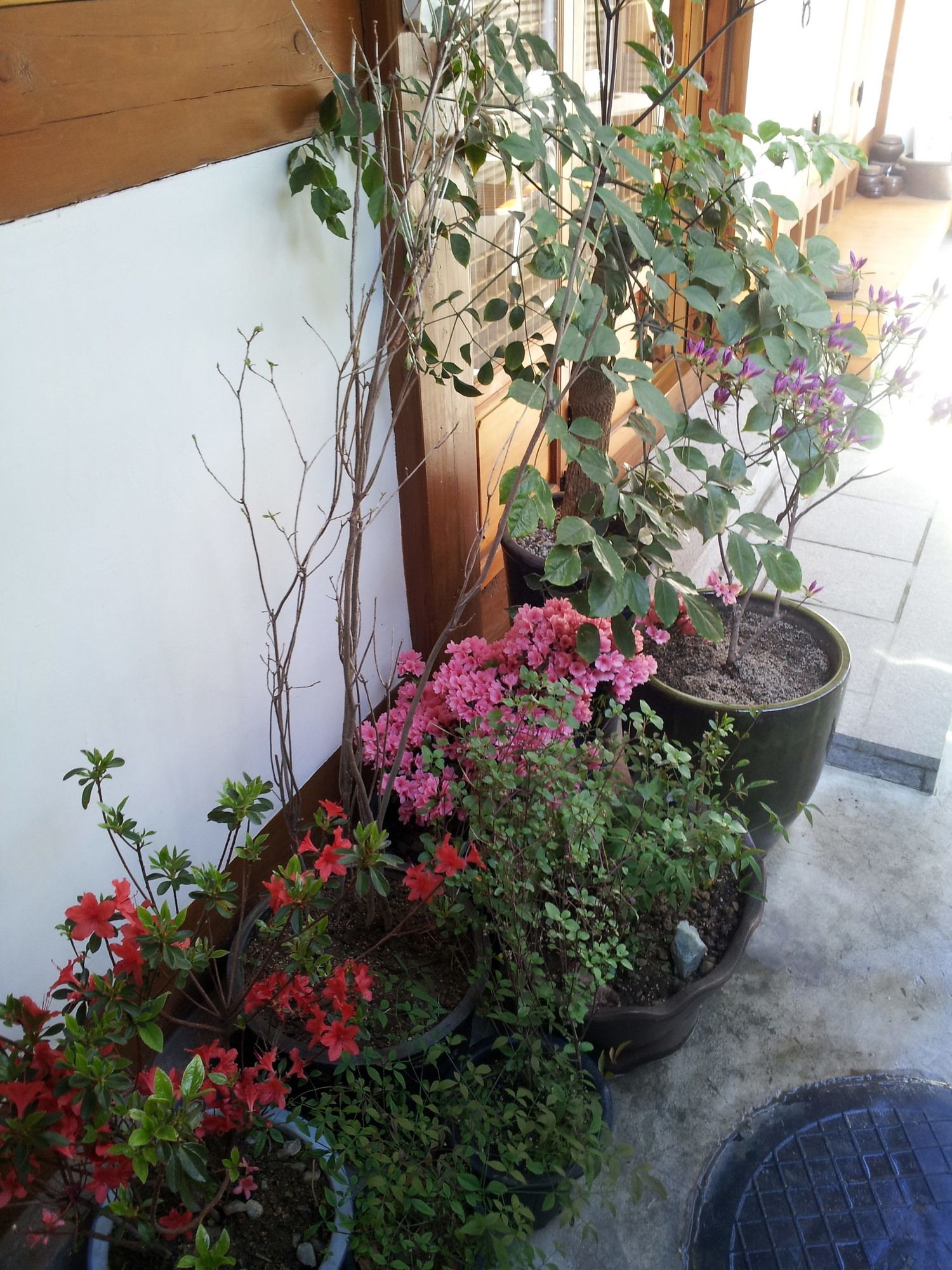 Han Hanok Guesthouse