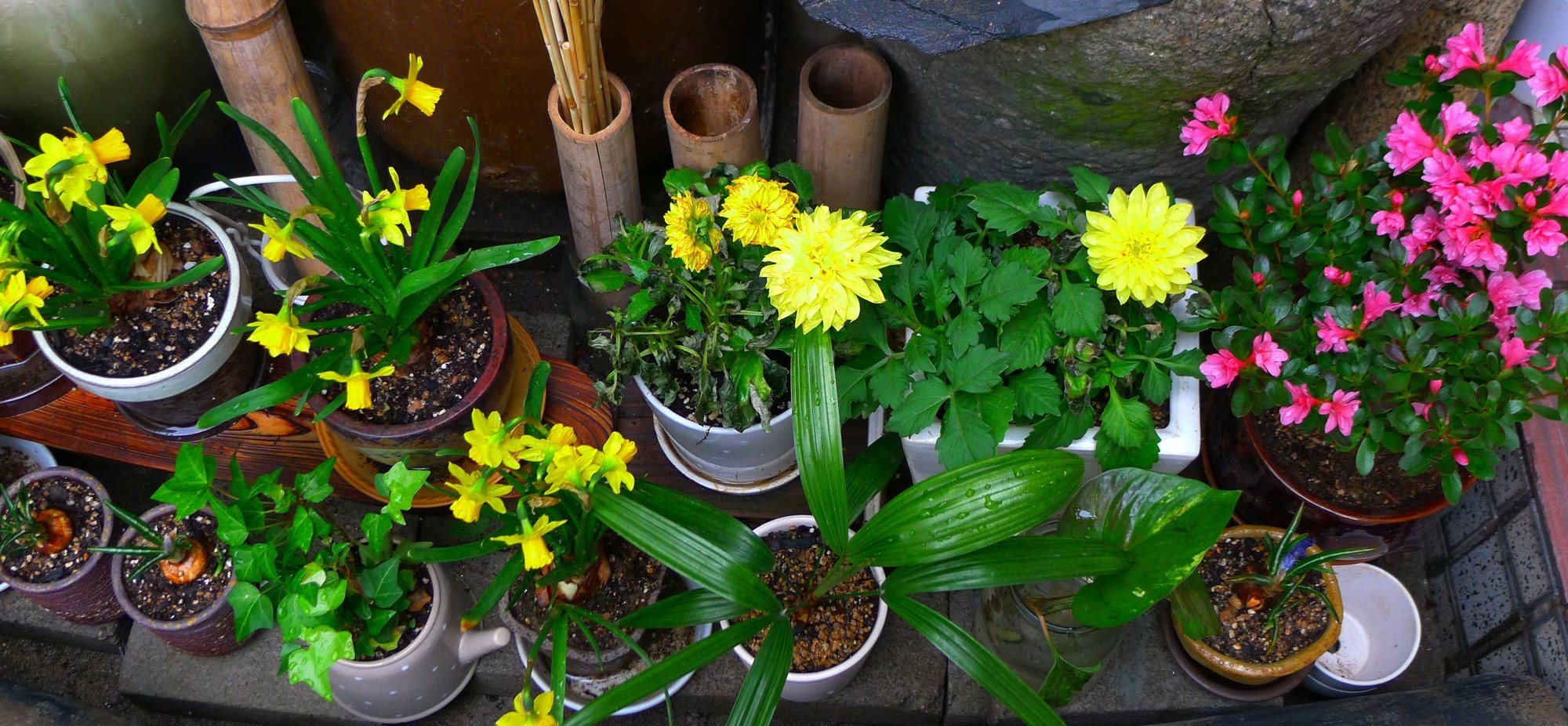 Han OK Guest House 201