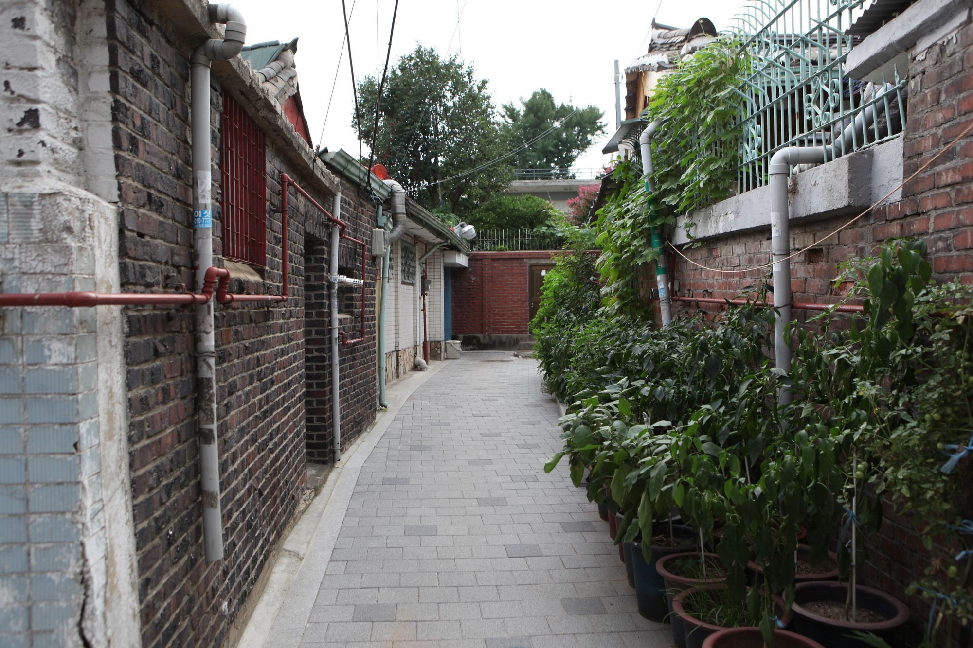 Han's House