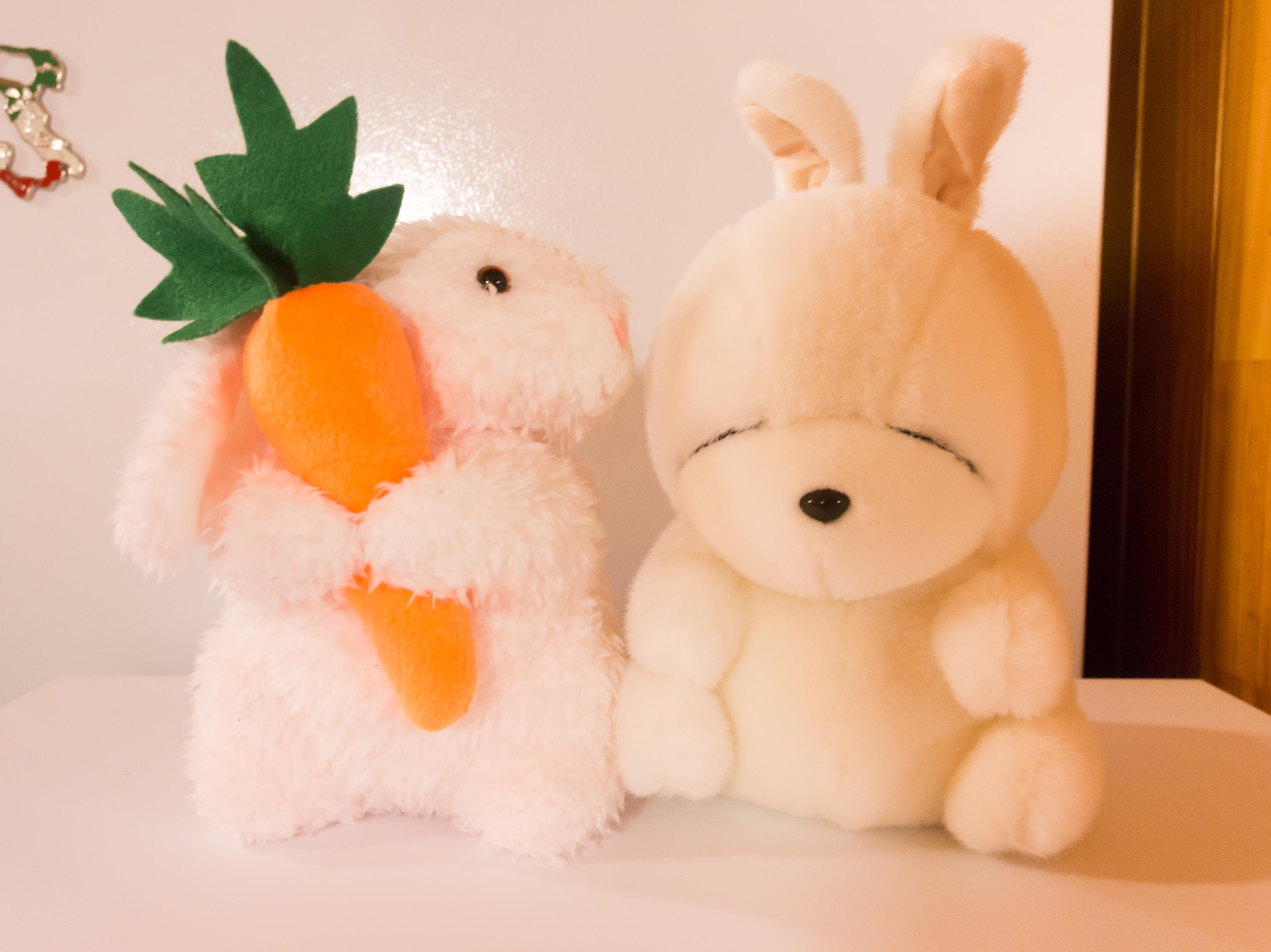 Hola Seoul Guesthouse