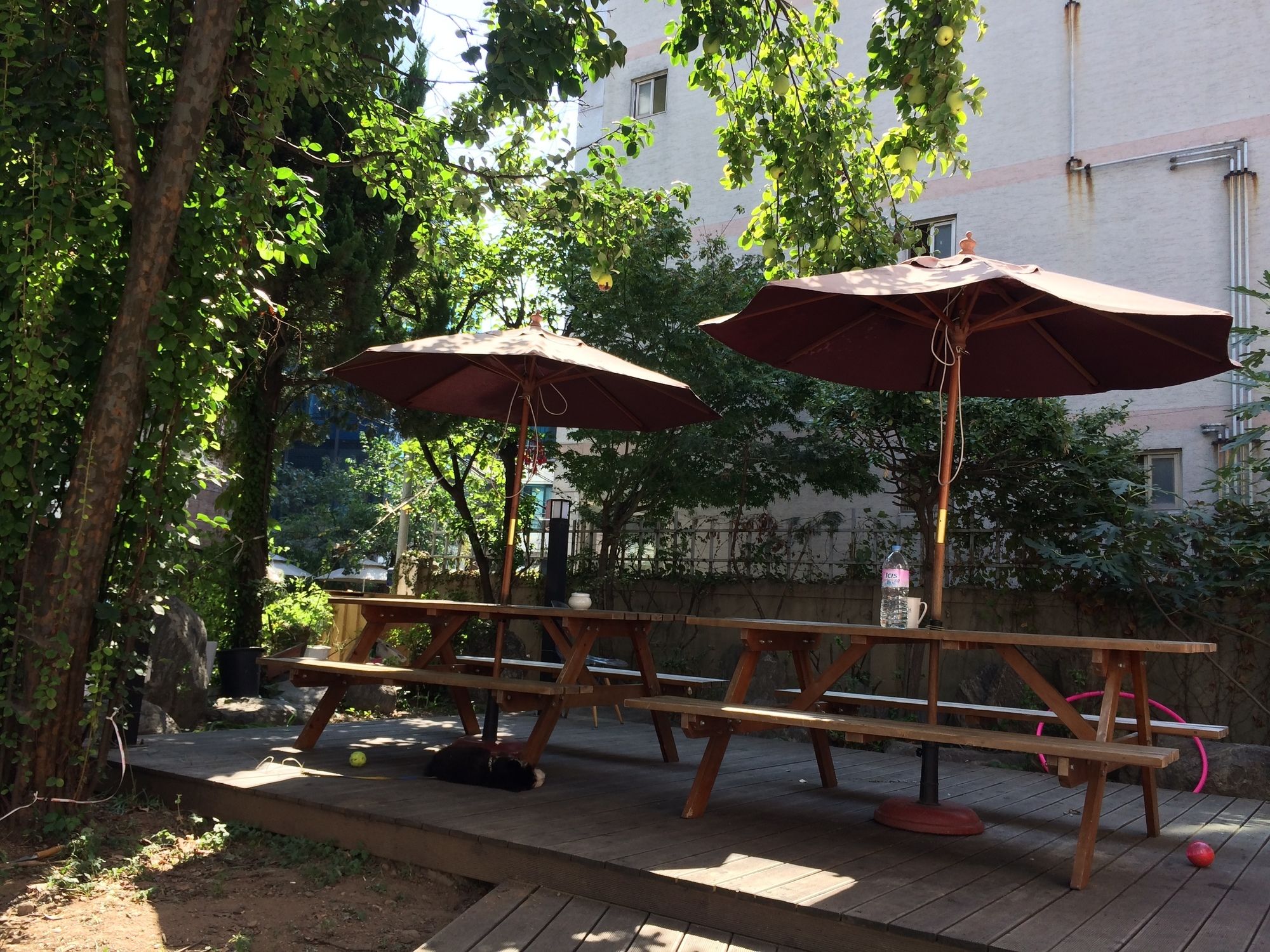Hongdae Orange Guesthouse