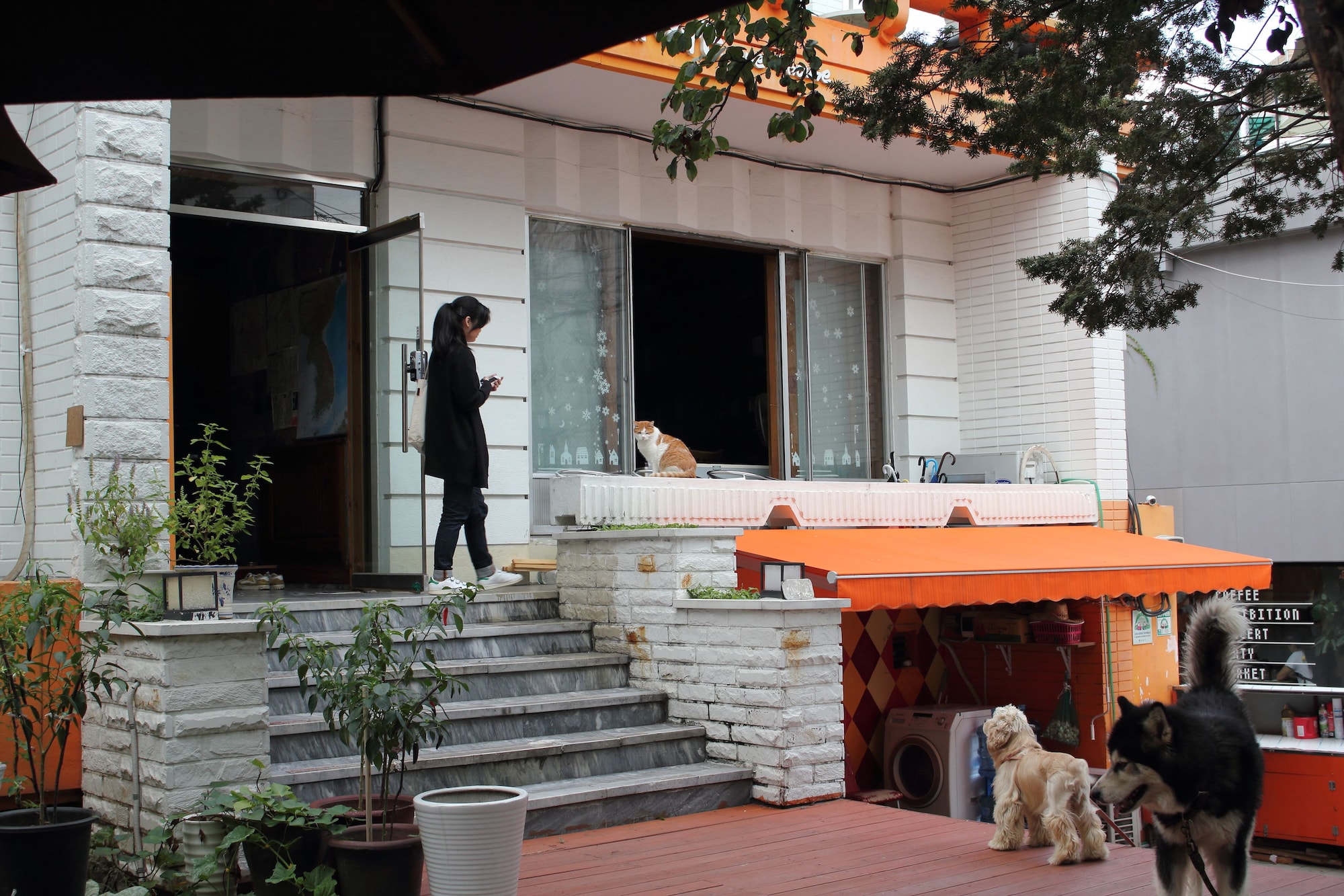 Hongdae Orange Guesthouse
