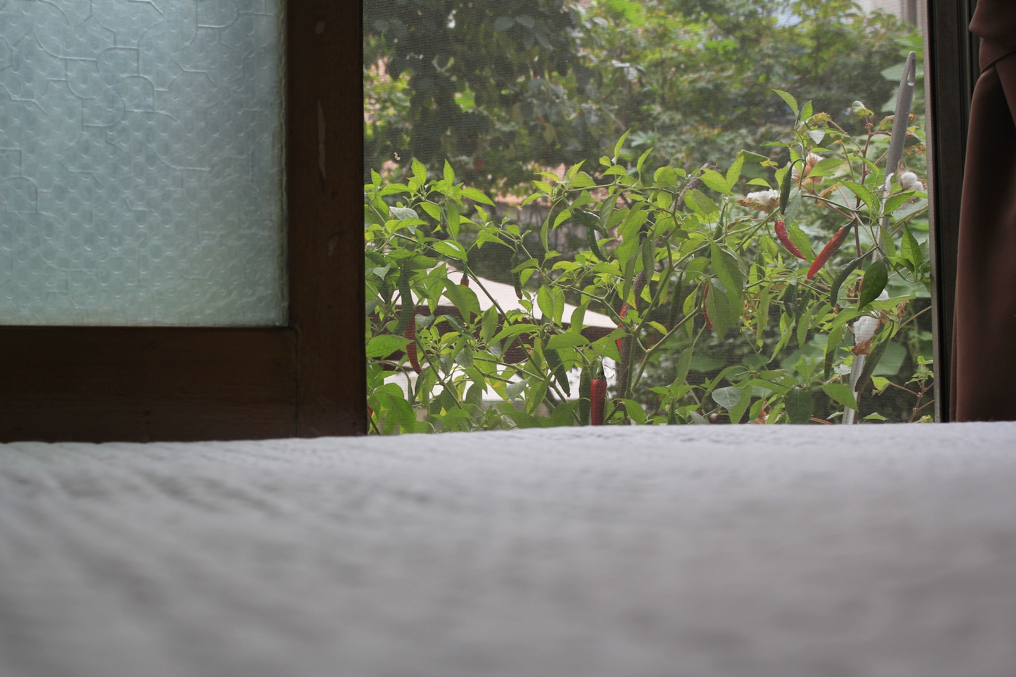 Hongdae Orange Guesthouse