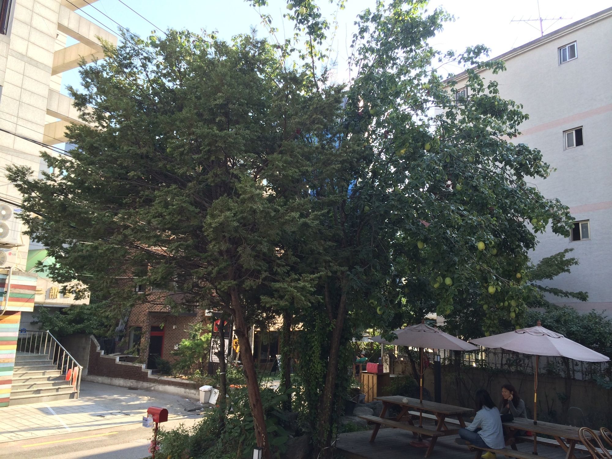 Hongdae Orange Guesthouse