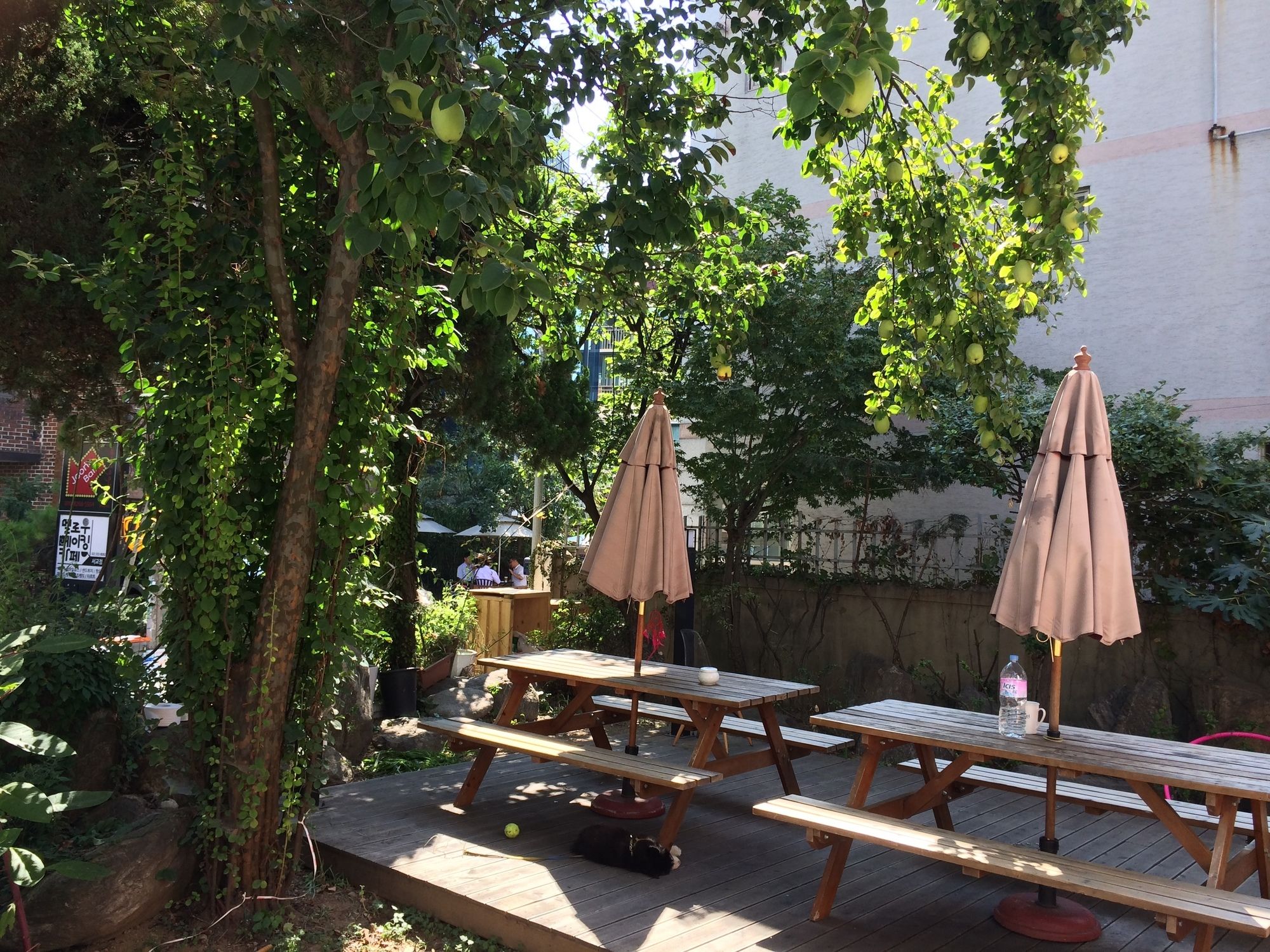 Hongdae Orange Guesthouse