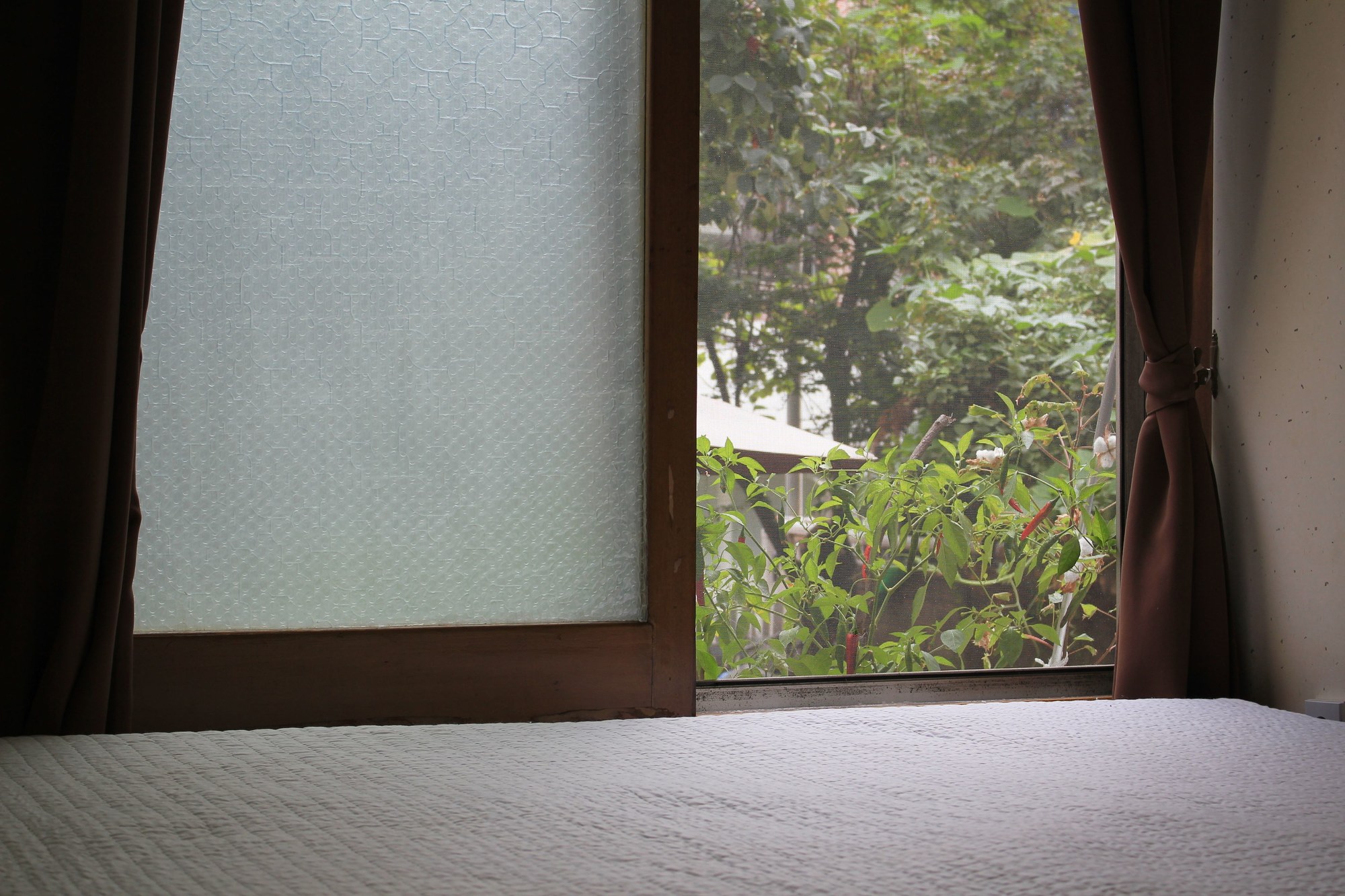 Hongdae Orange Guesthouse