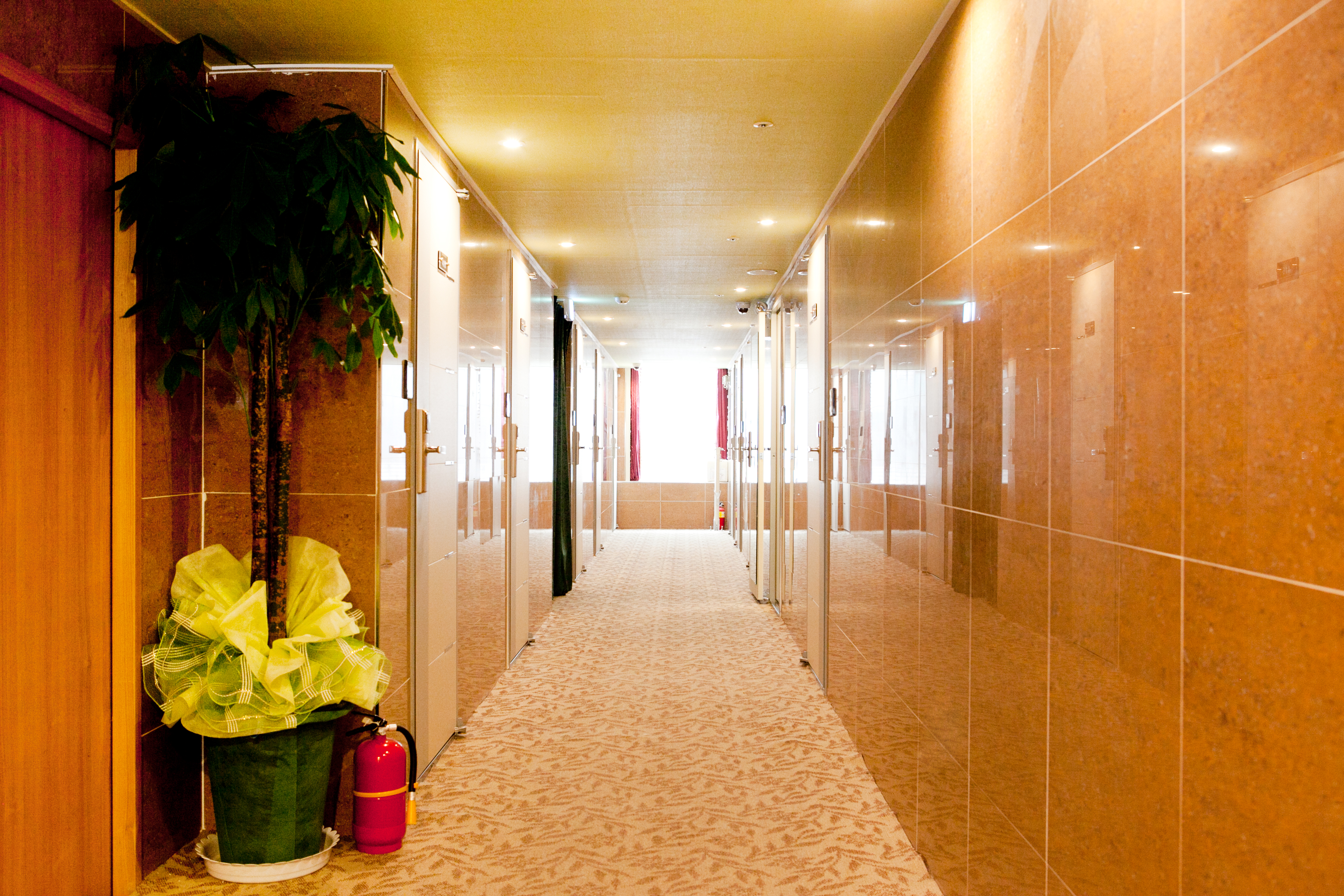 Hotel Cozy Myoungdong