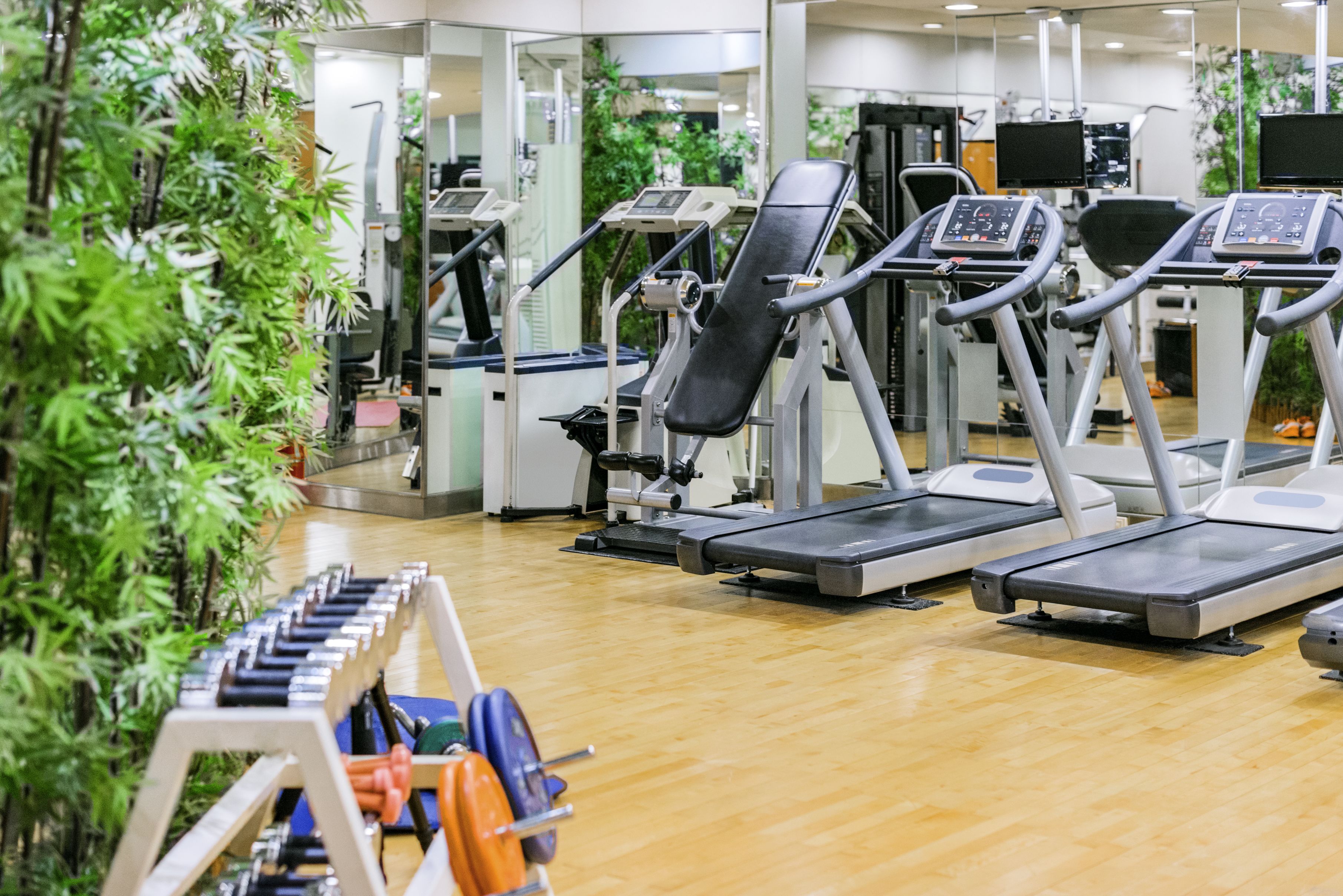 ibis Styles Ambassador Seoul Gangnam Hotel