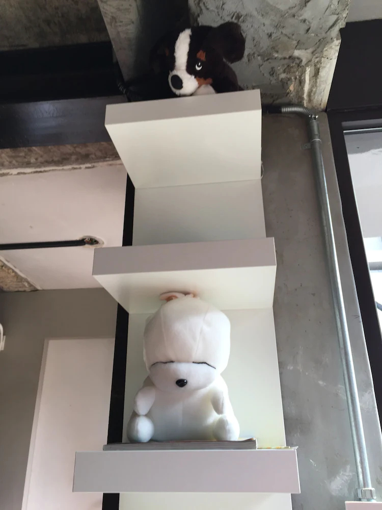 Ihouse Chinchin